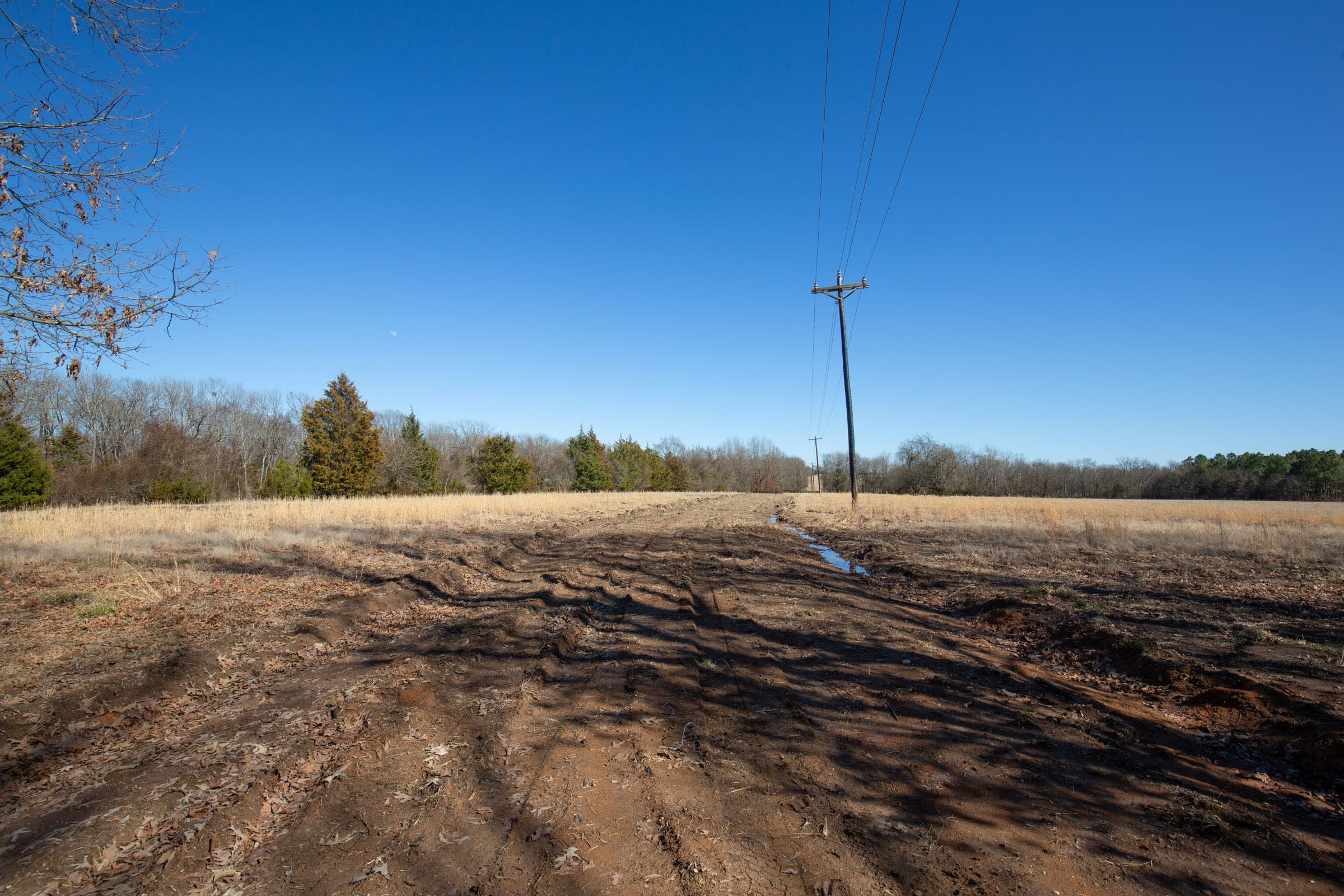 Wishing Star Ranch Tract 1 photo 6