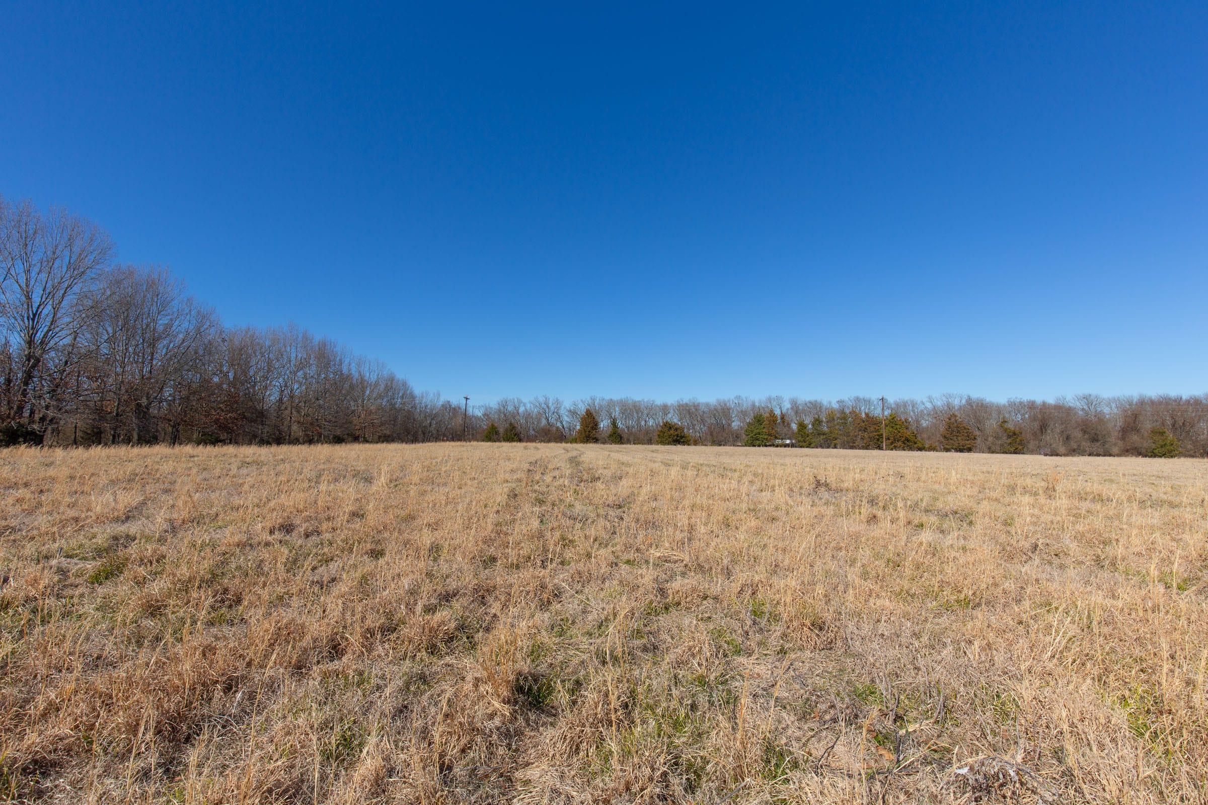 Wishing Star Ranch Tract 1 photo 14