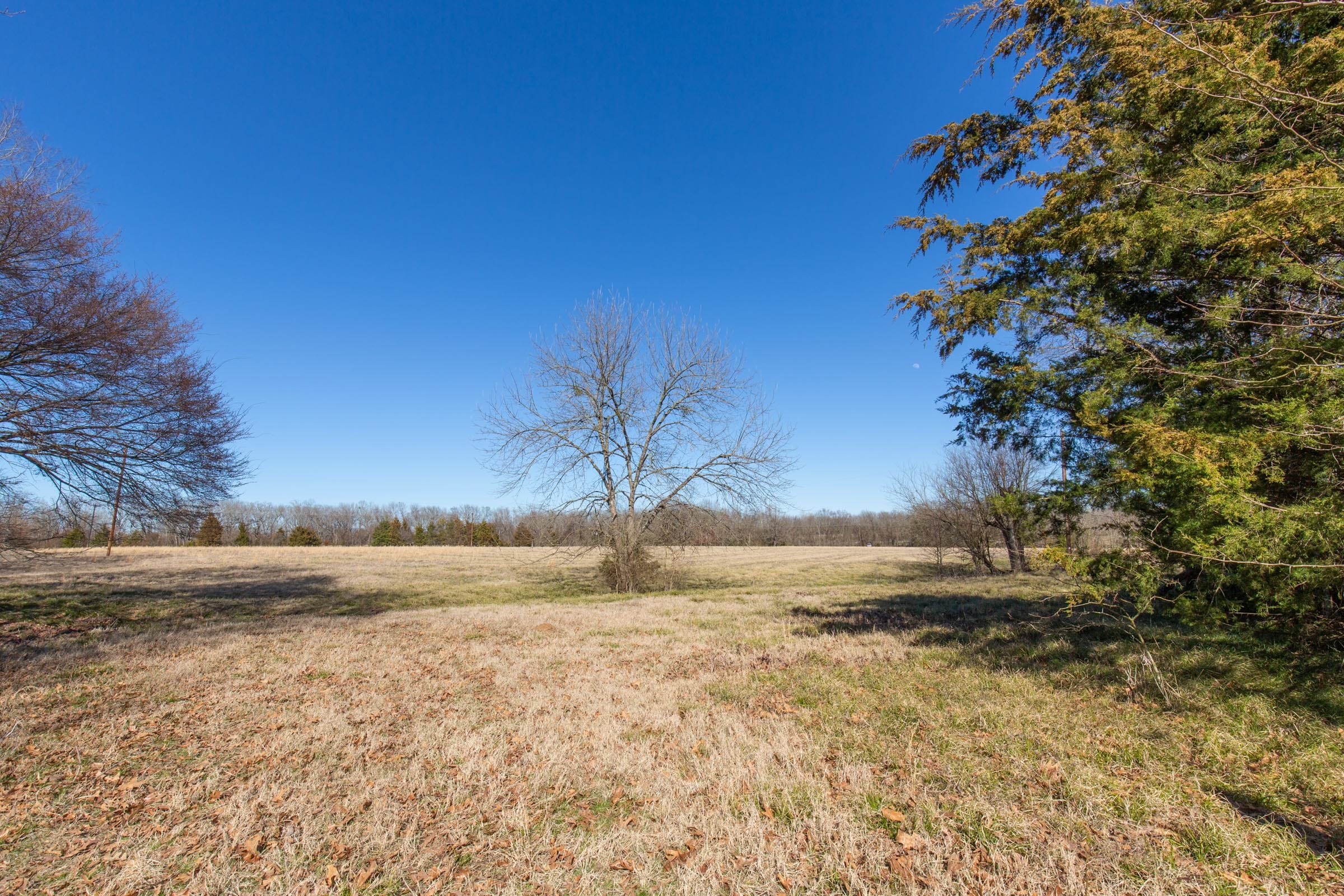 Wishing Star Ranch Tract 1 photo 19