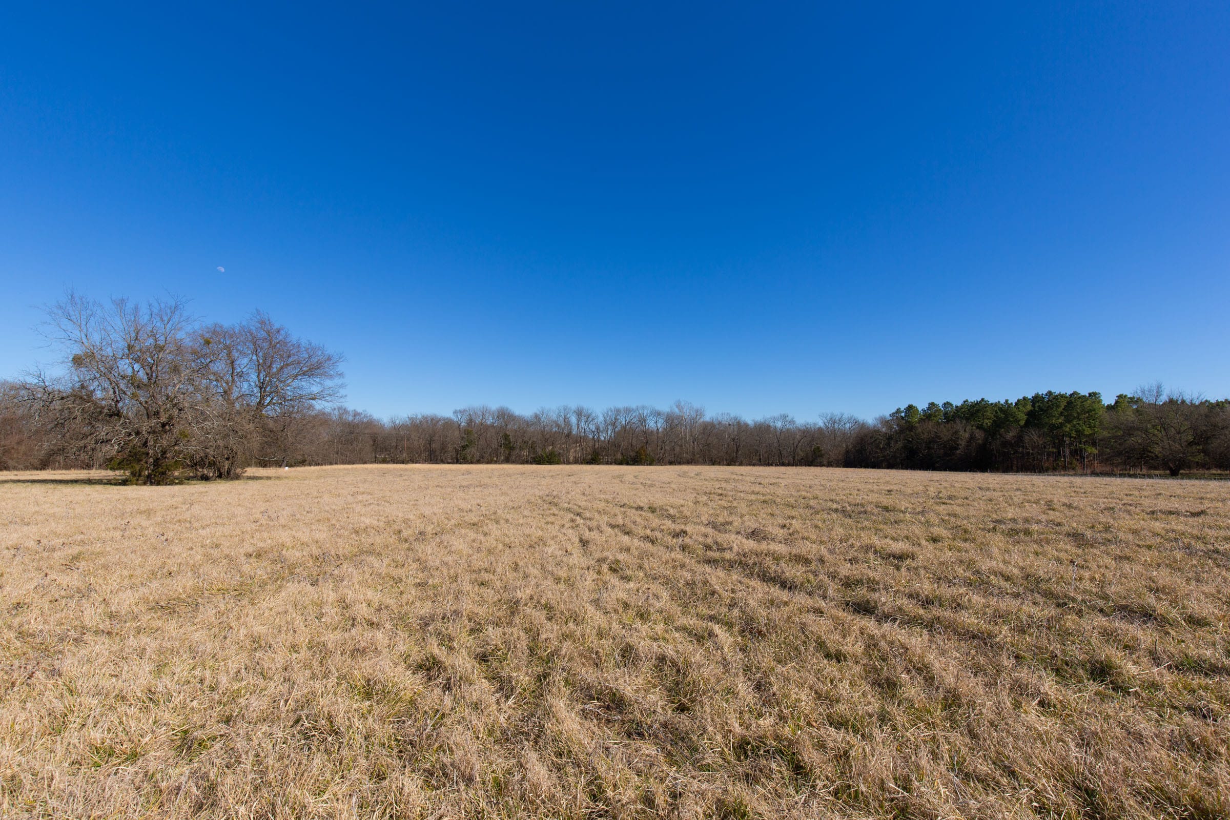 Wishing Star Ranch Tract 1 photo 24