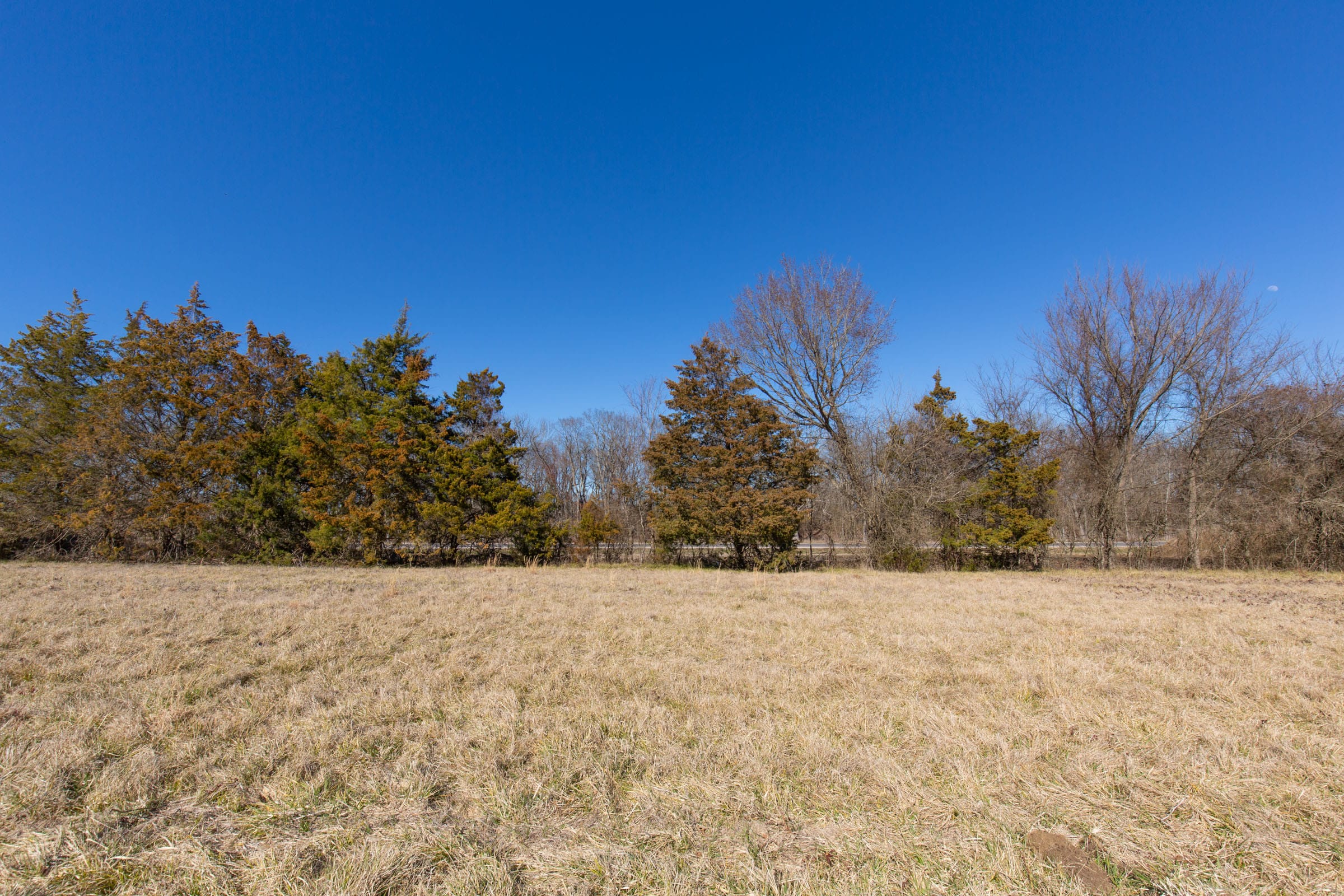 Wishing Star Ranch Tract 1 photo 25