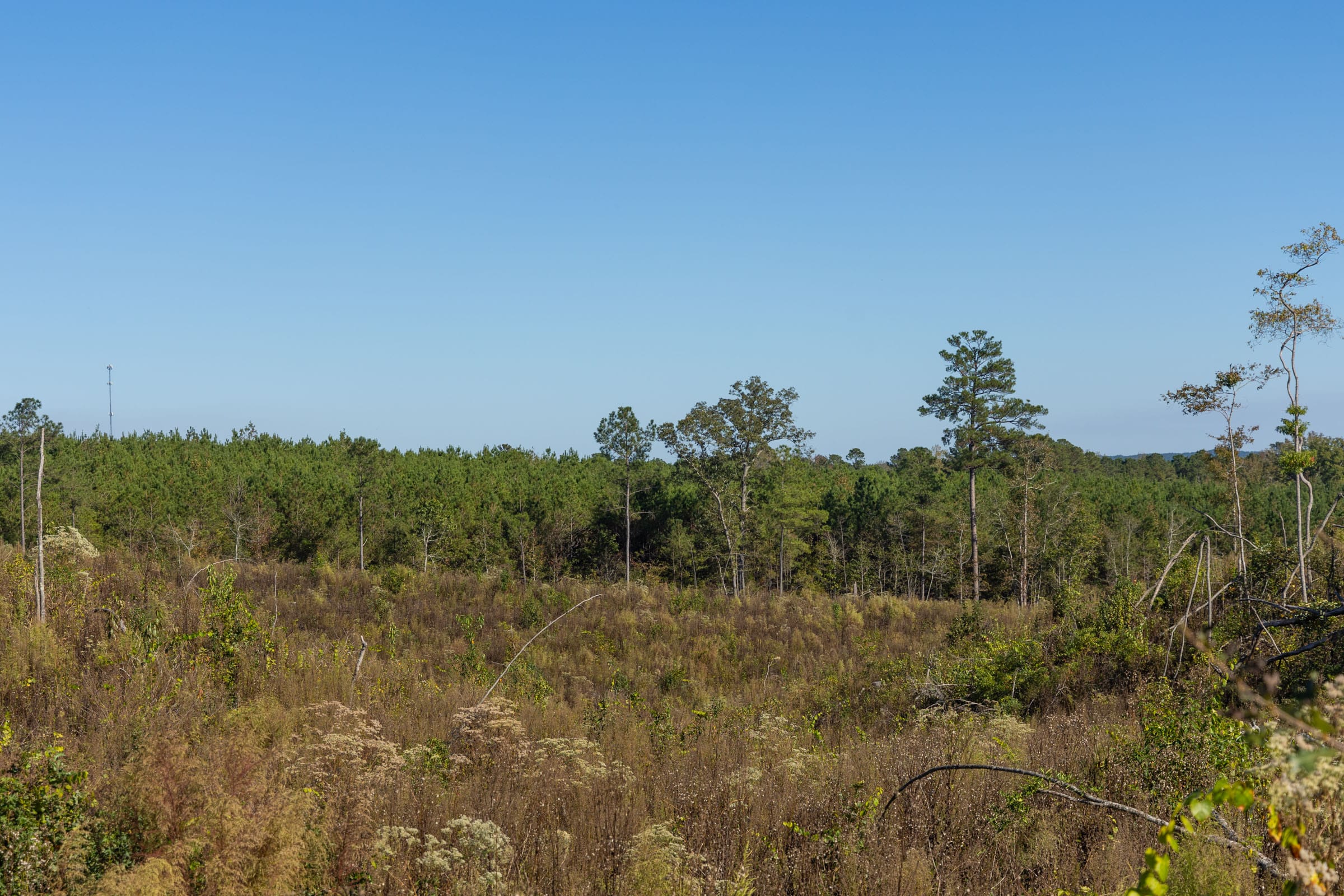 Meyer’s Ridge Tract 38 photo 11