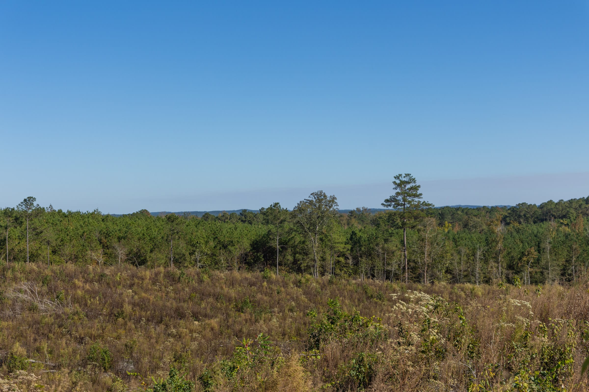 Meyer’s Ridge Tract 38 photo 9