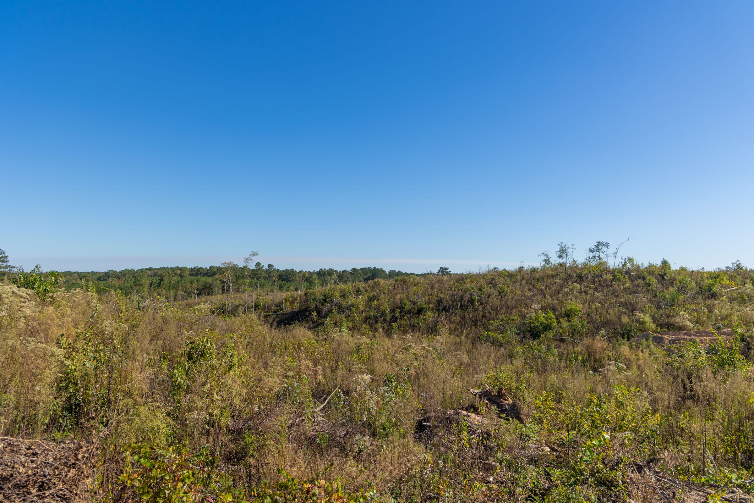 Meyer’s Ridge Tract 38 photo 8