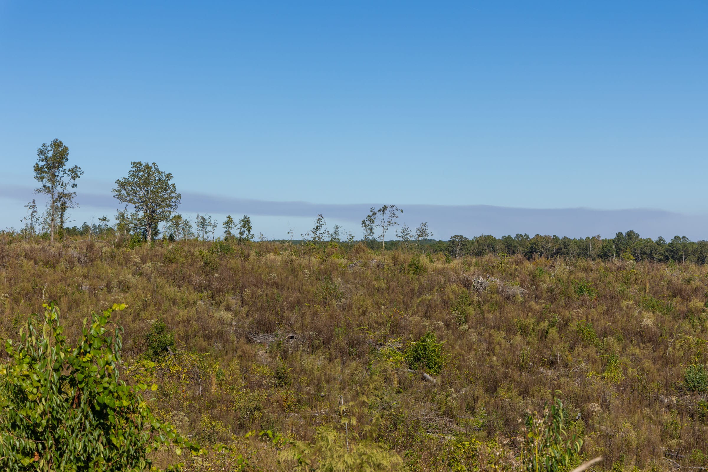 Meyer’s Ridge Tract 38 photo 7