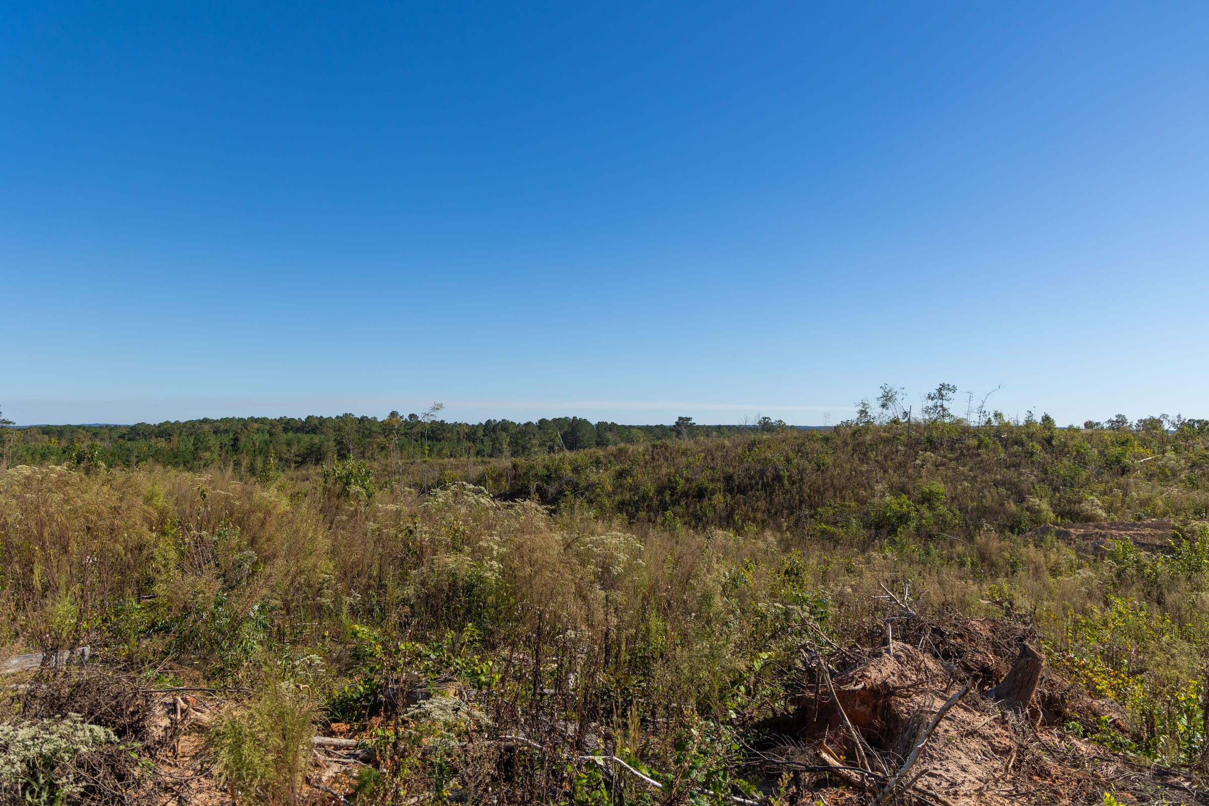 Meyer’s Ridge Tract 38 photo 6