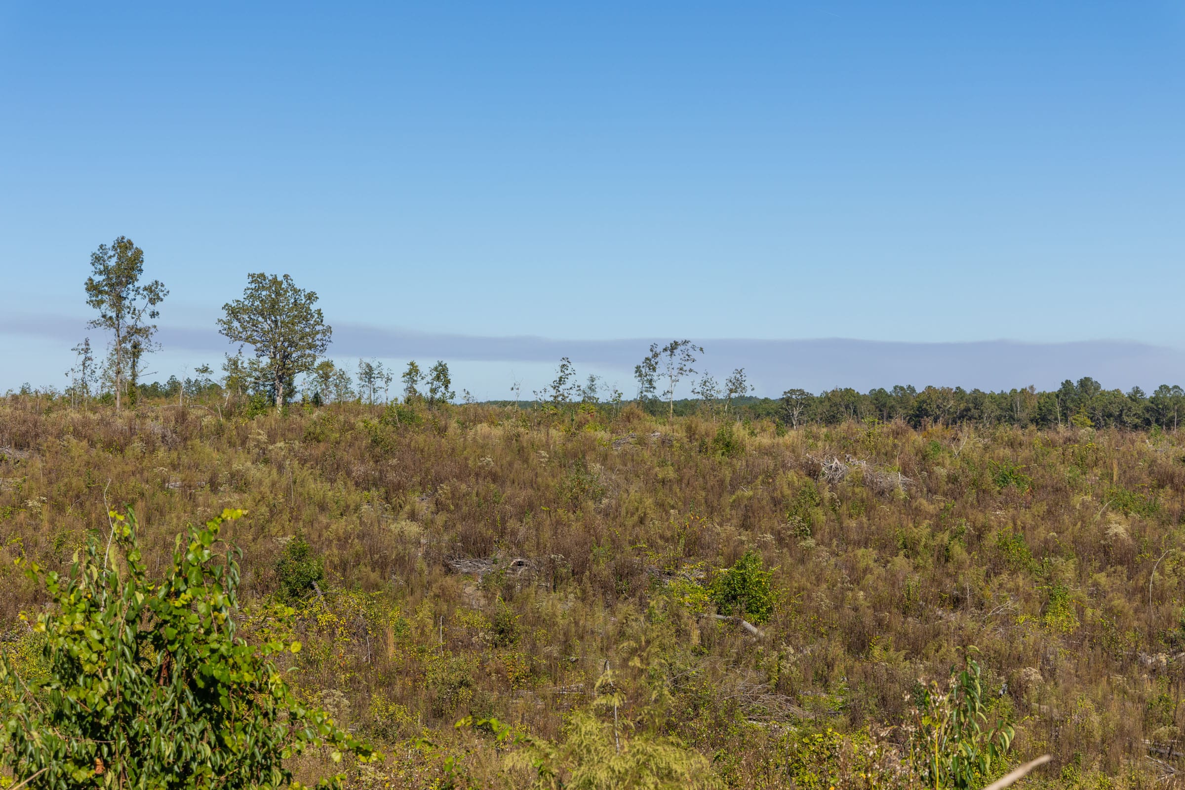 Meyer’s Ridge Tract 38 photo 5