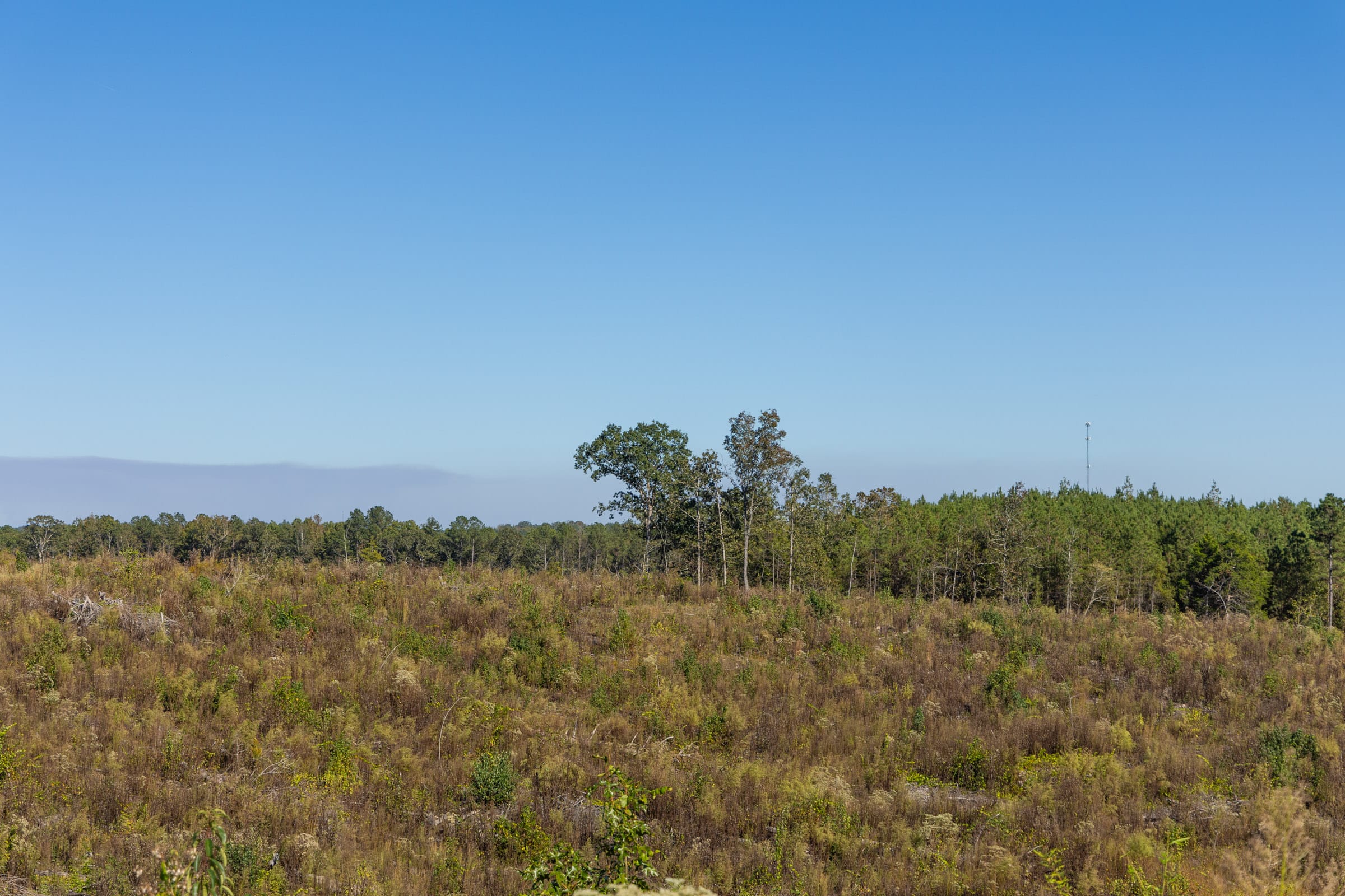 Meyer’s Ridge Tract 38 photo 4