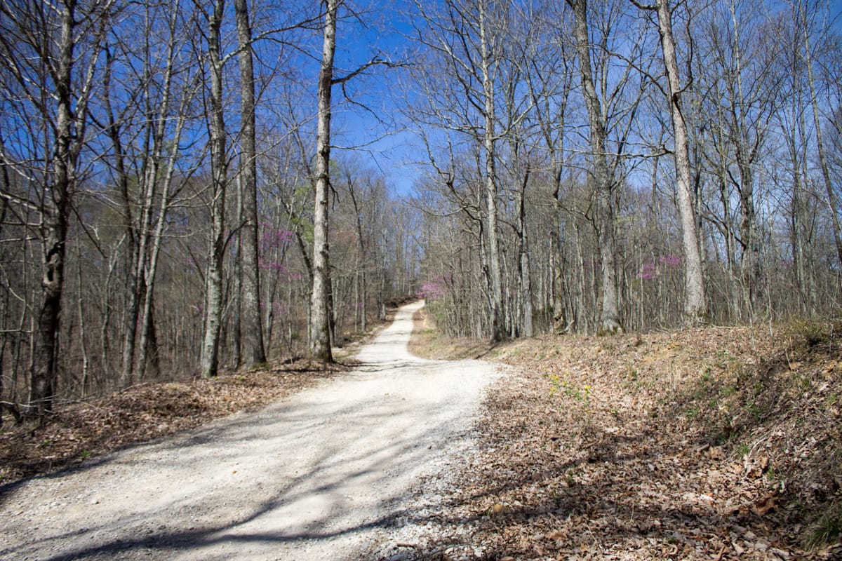 Chestnut Oak Ridge Tract 29 photo 3