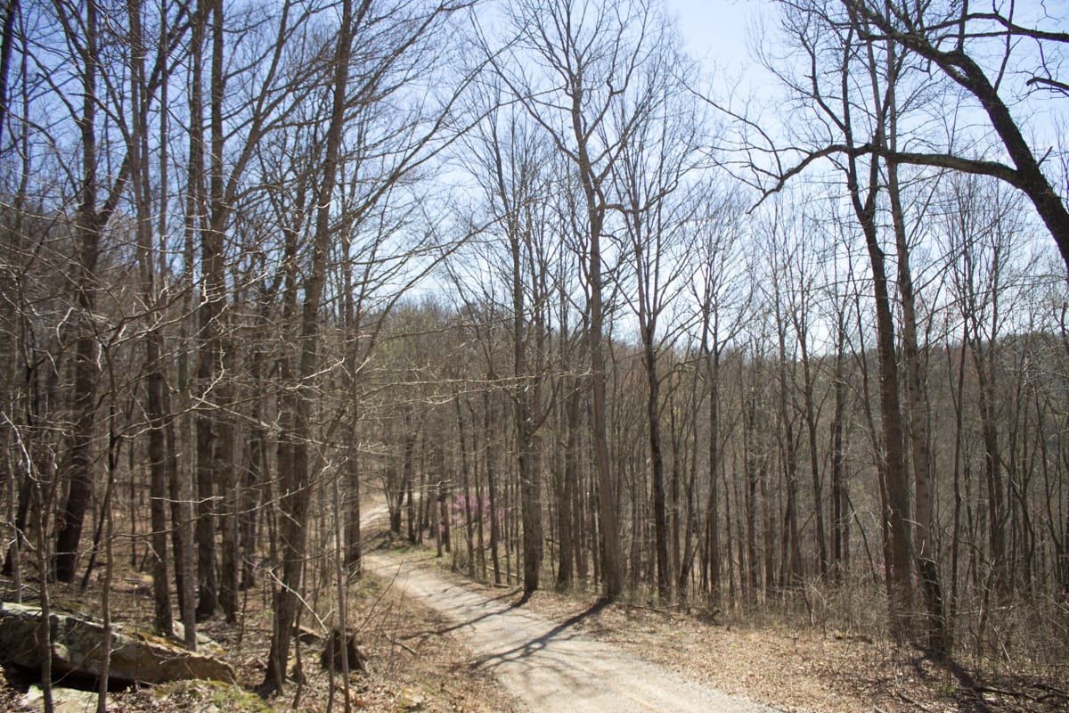 Chestnut Oak Ridge Tract 29 photo 4
