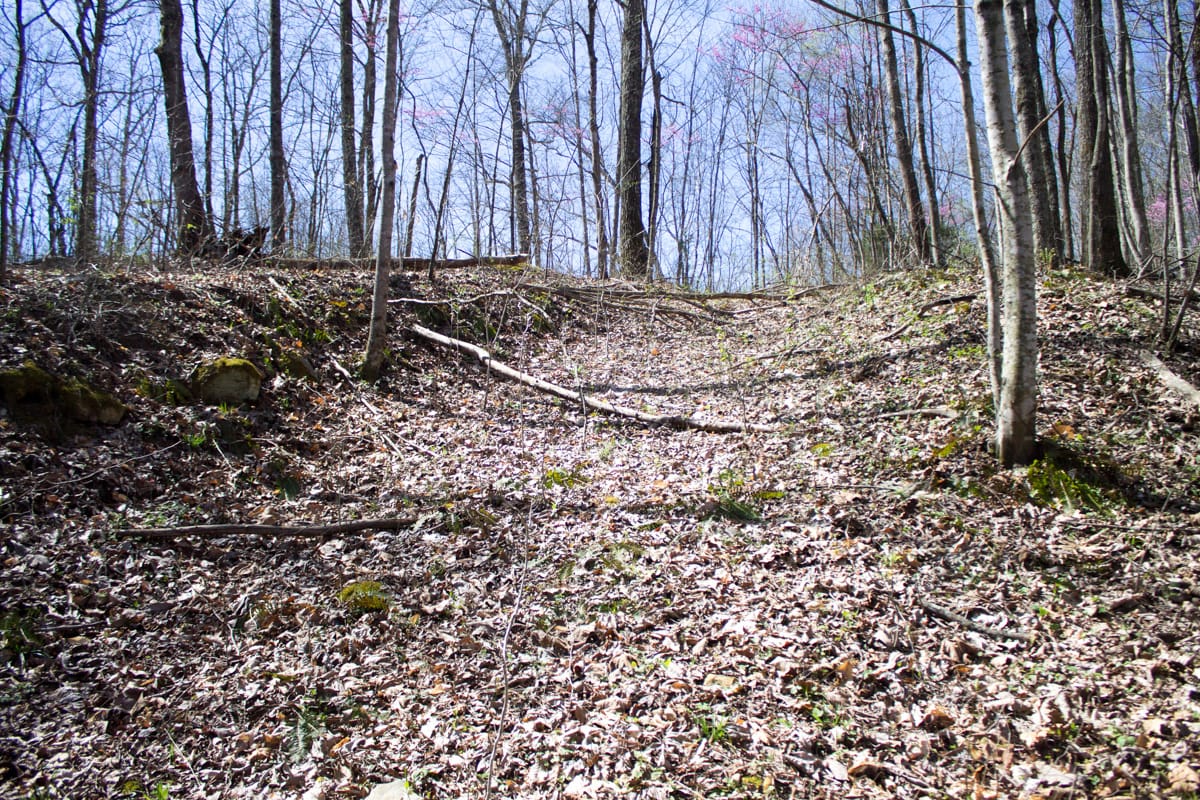 Chestnut Oak Ridge Tract 29 photo 13