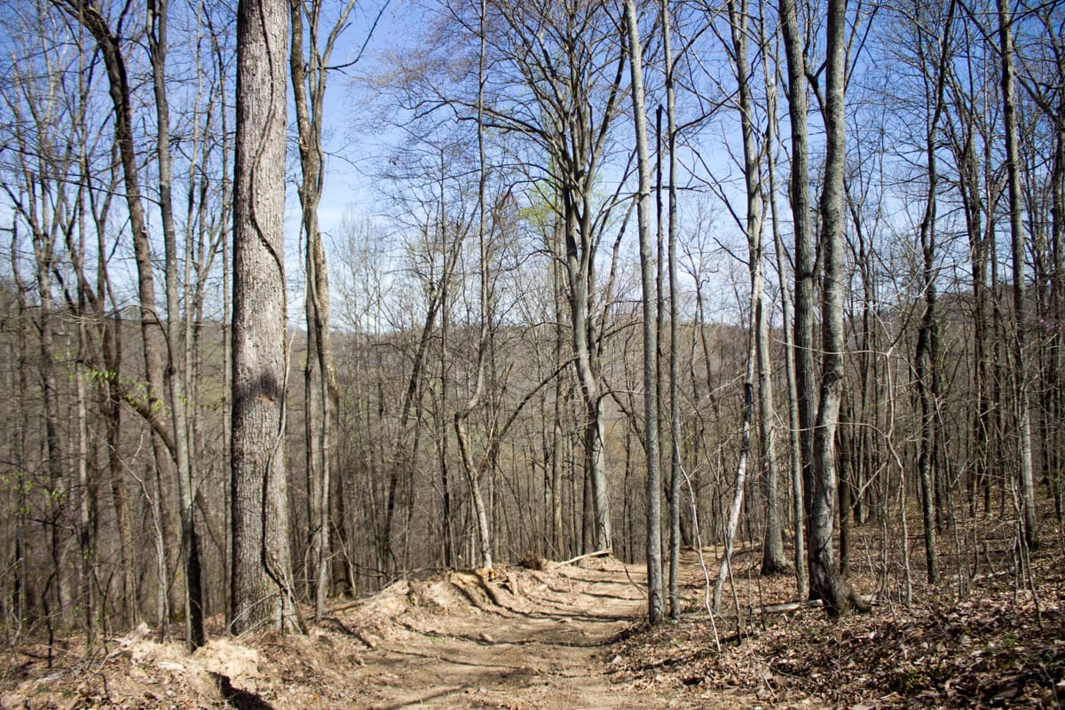 Chestnut Oak Ridge Tract 29 photo 18