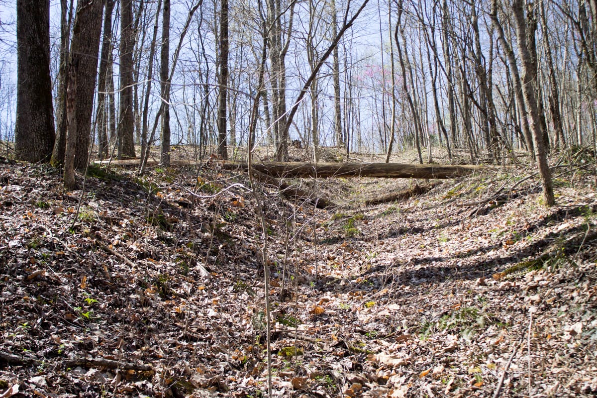 Chestnut Oak Ridge Tract 29 photo 21
