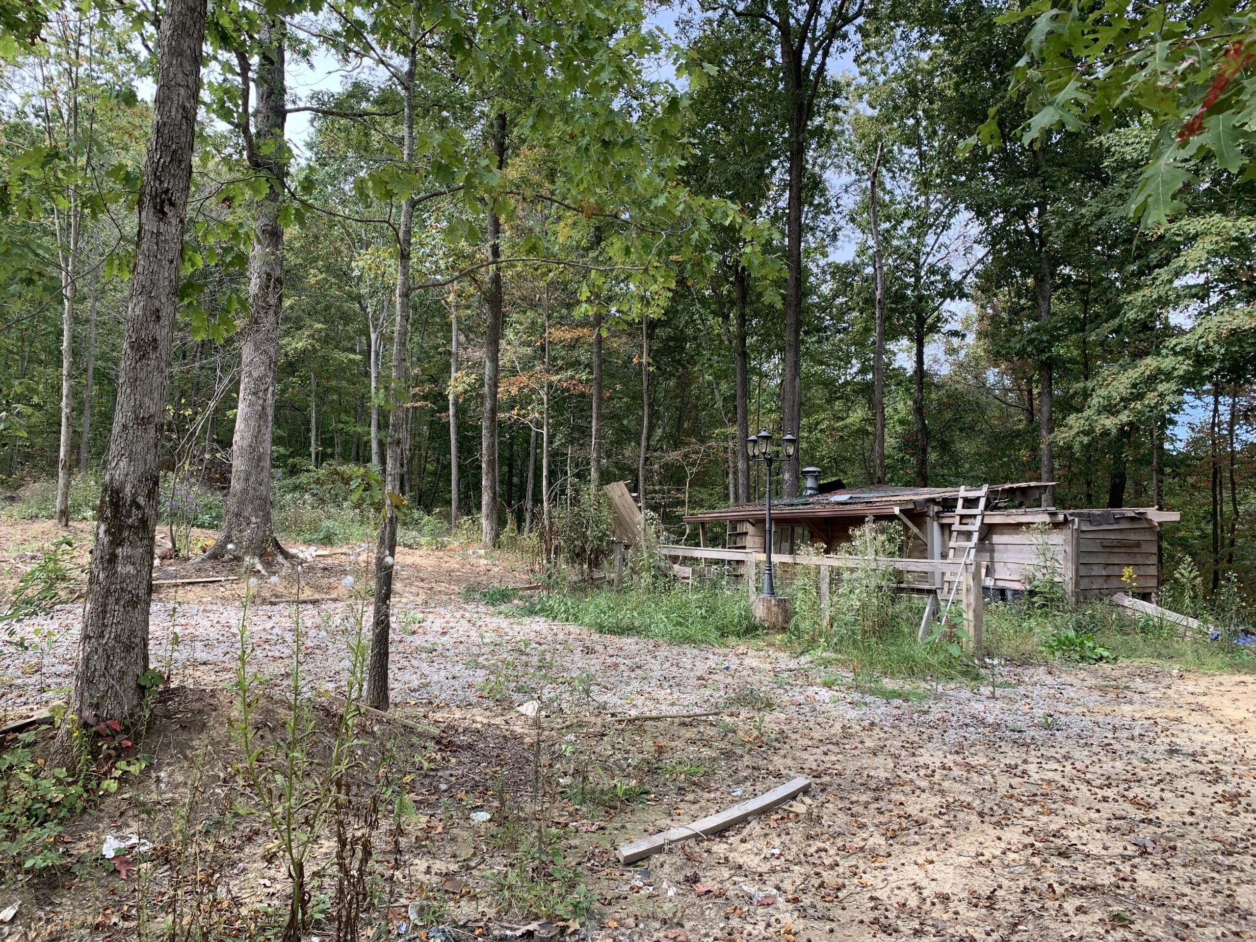 Chestnut Oak Ridge Tract 29 photo 23
