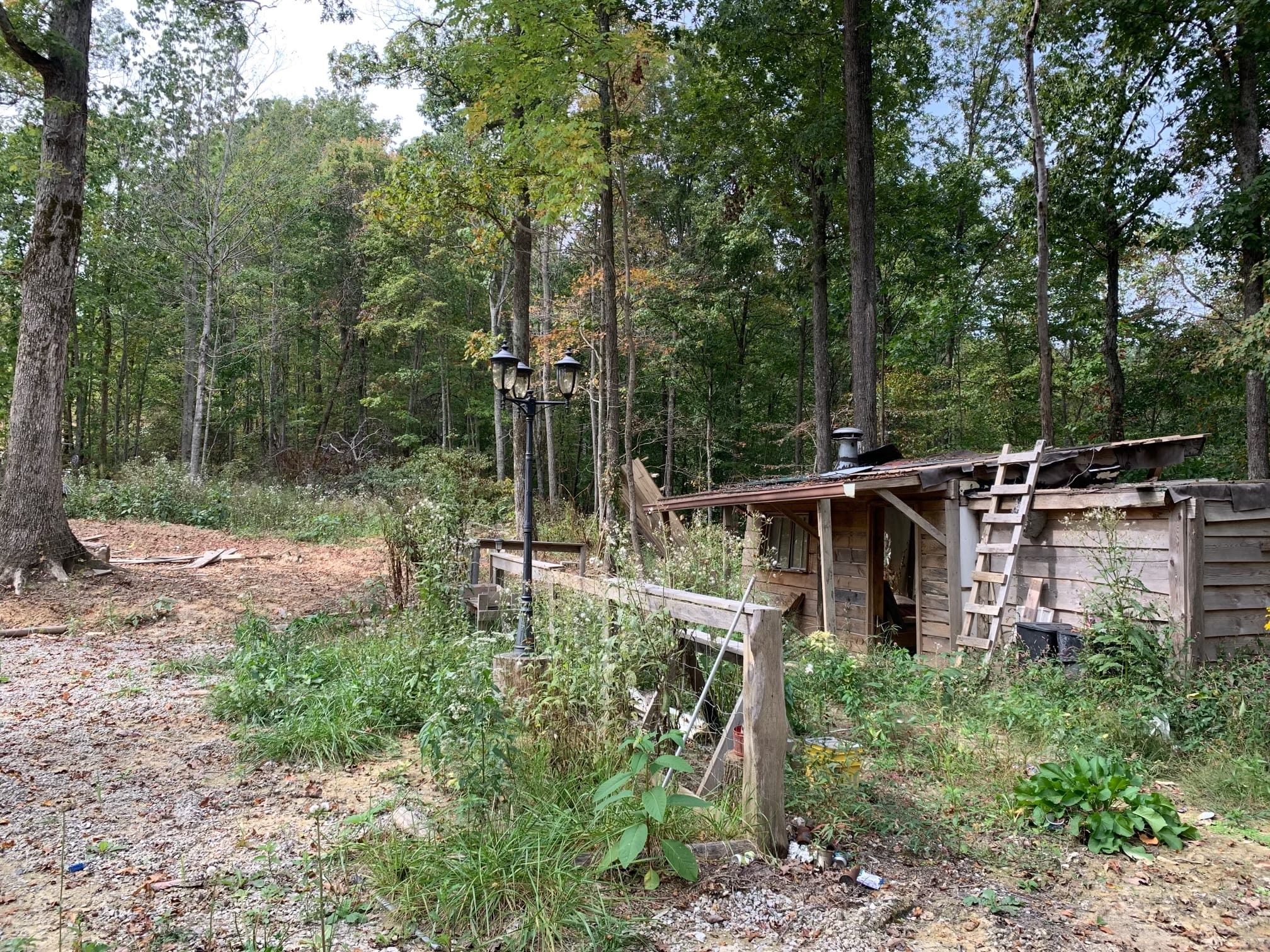 Chestnut Oak Ridge Tract 29 photo 25