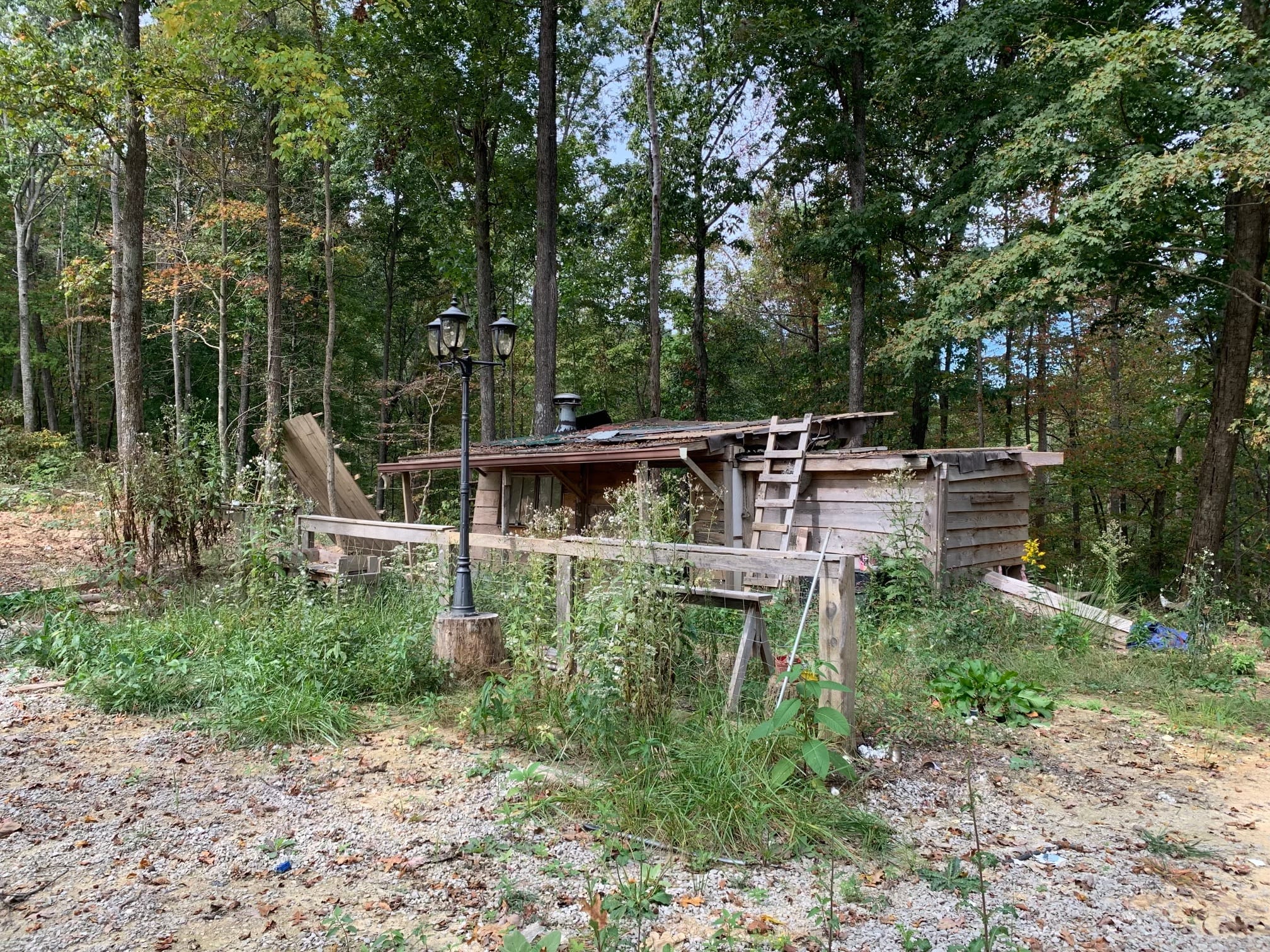 Chestnut Oak Ridge Tract 29 photo 26