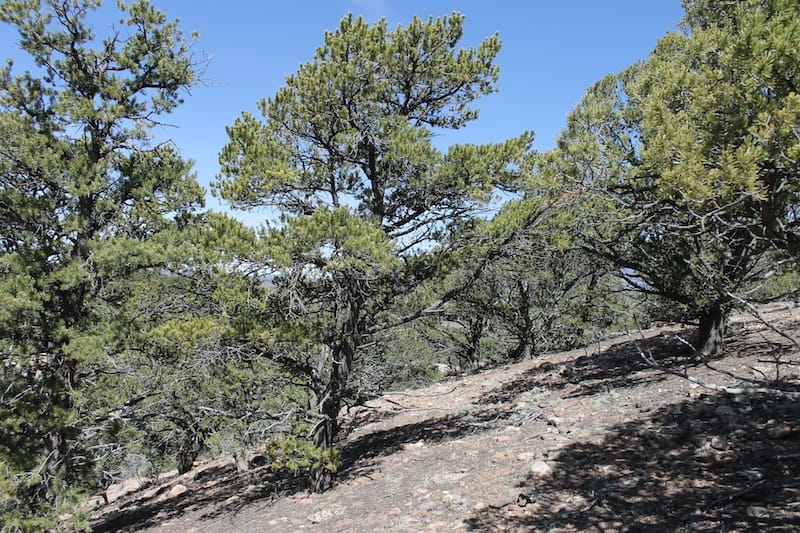 Sangre De Cristo Ranches Tract 7896 photo 6