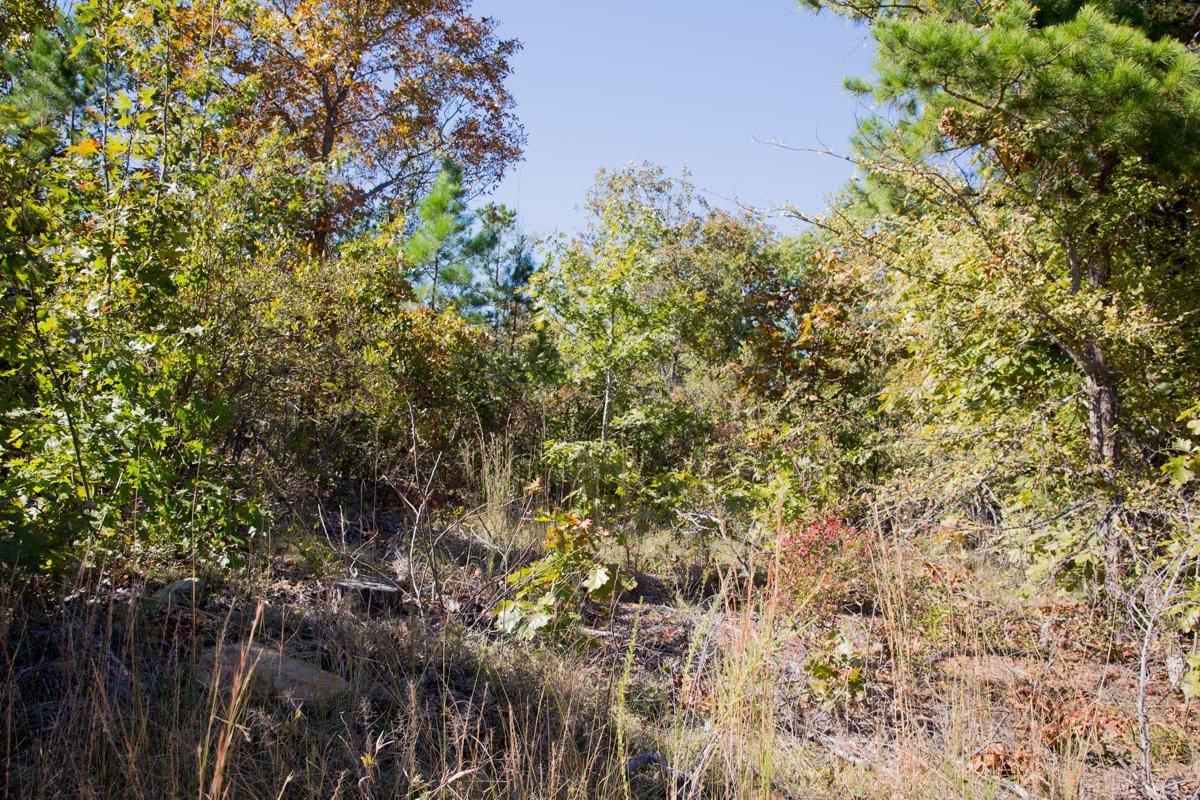Stone Creek Phase I Tract 148 photo 1