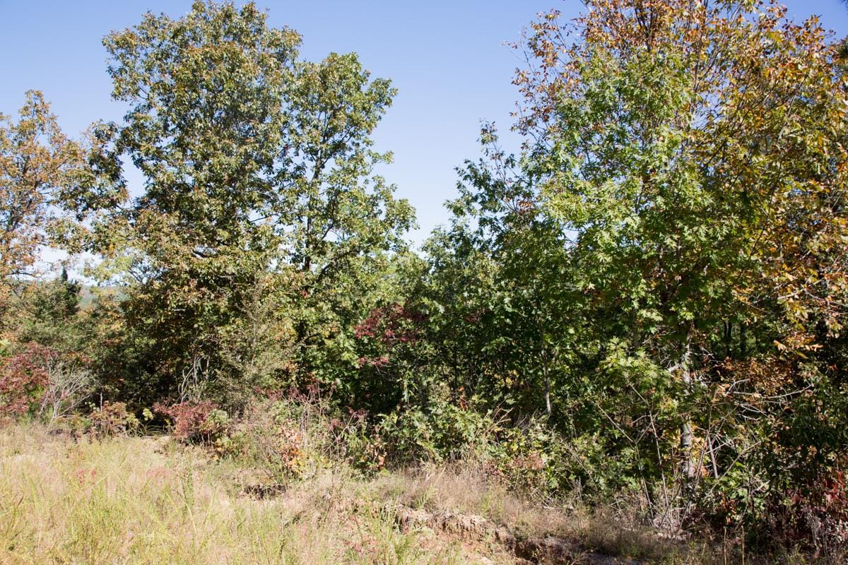 Stone Creek Phase I Tract 148 photo 2