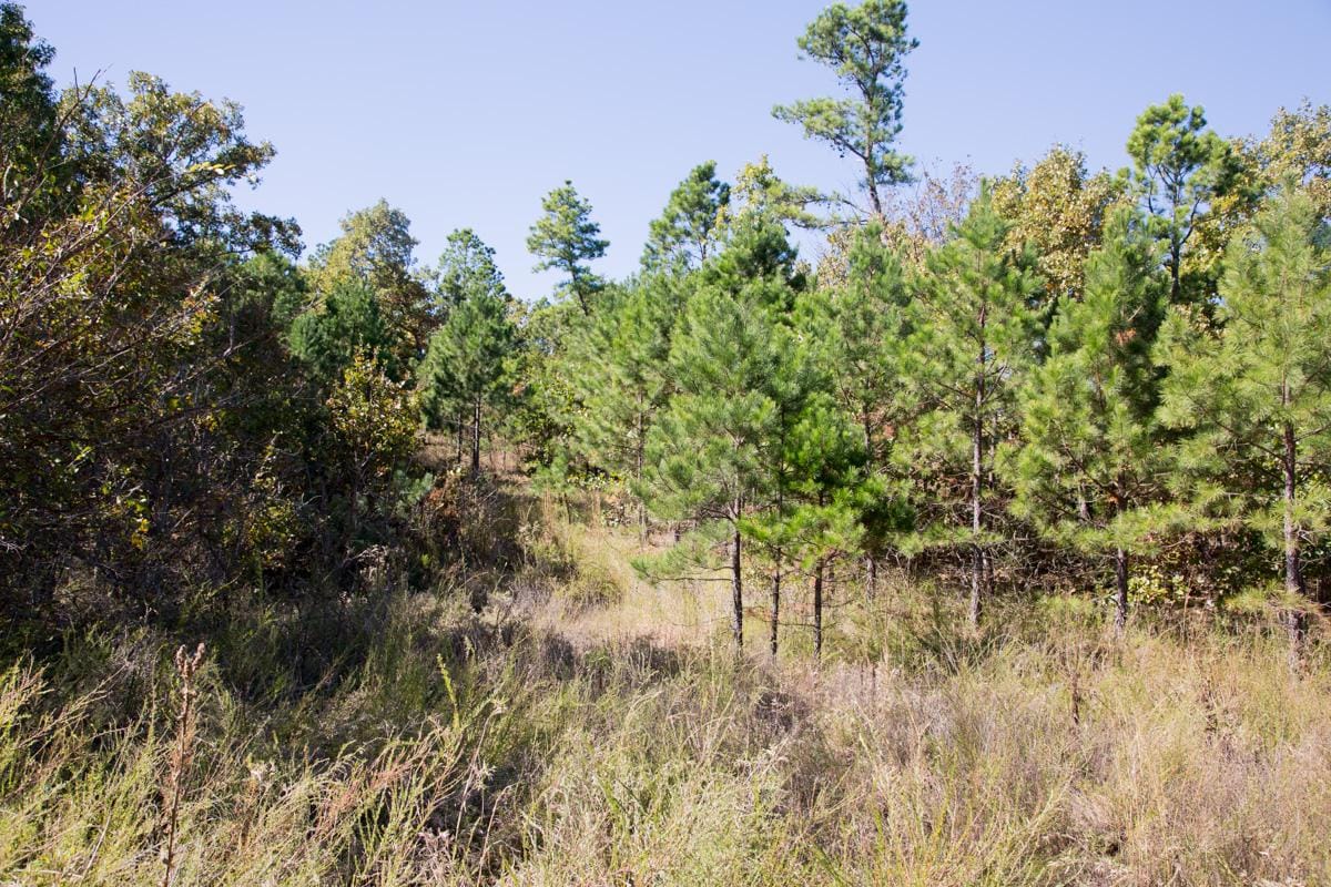 Stone Creek Phase I Tract 148 photo 3