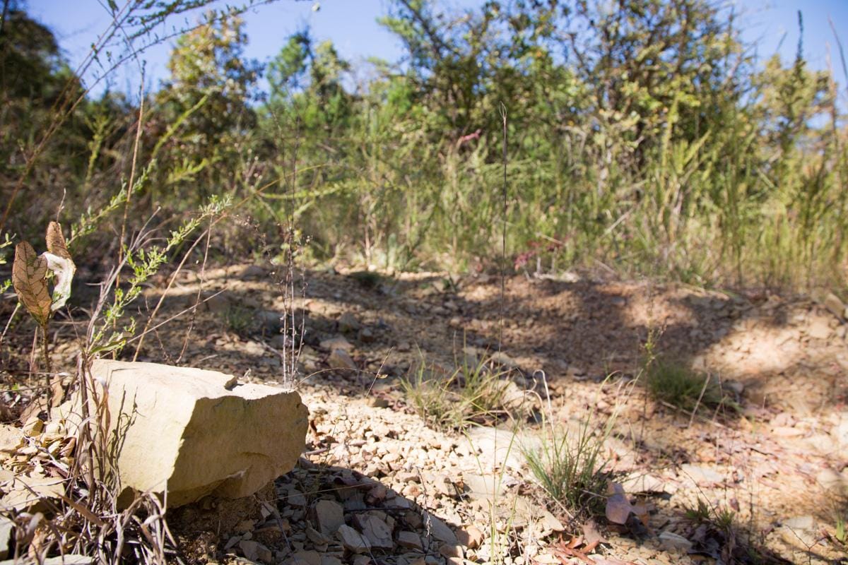 Stone Creek Phase I Tract 148 photo 5