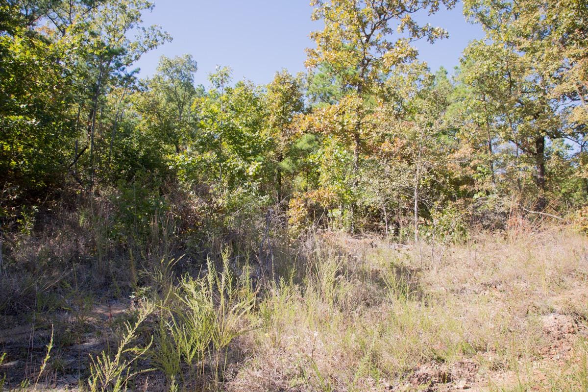 Stone Creek Phase I Tract 148 photo 6