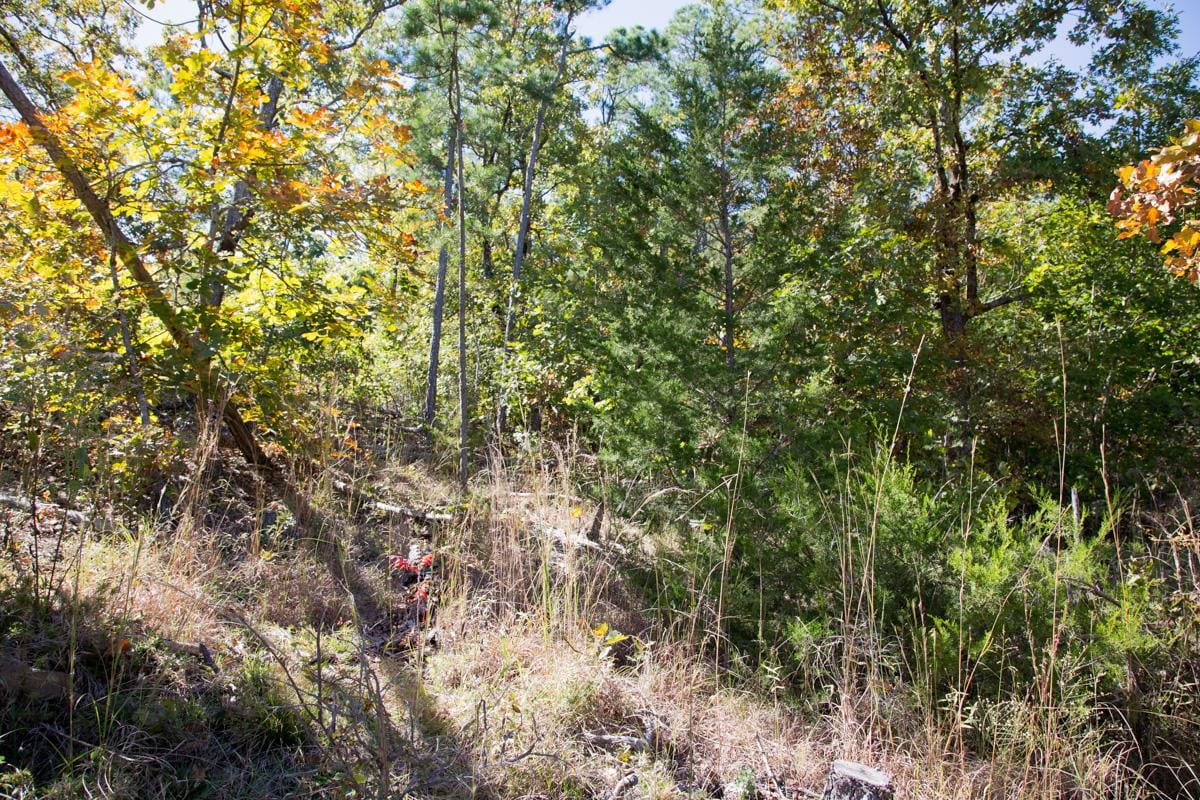Stone Creek Phase I Tract 148 photo 7