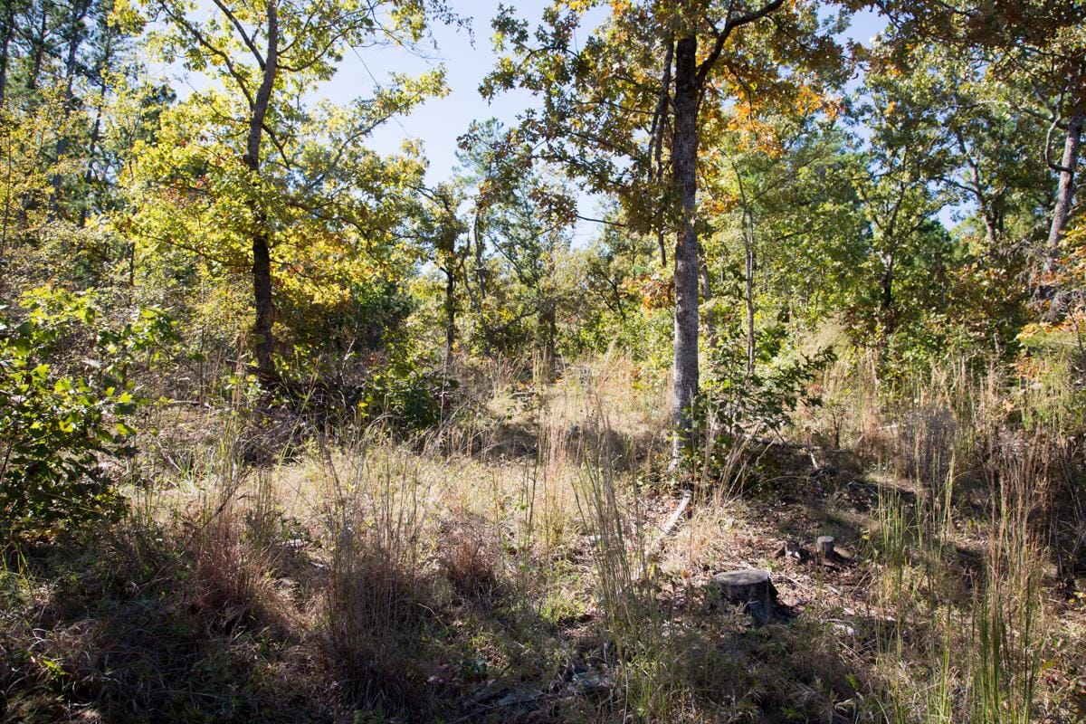 Stone Creek Phase I Tract 148 photo 9