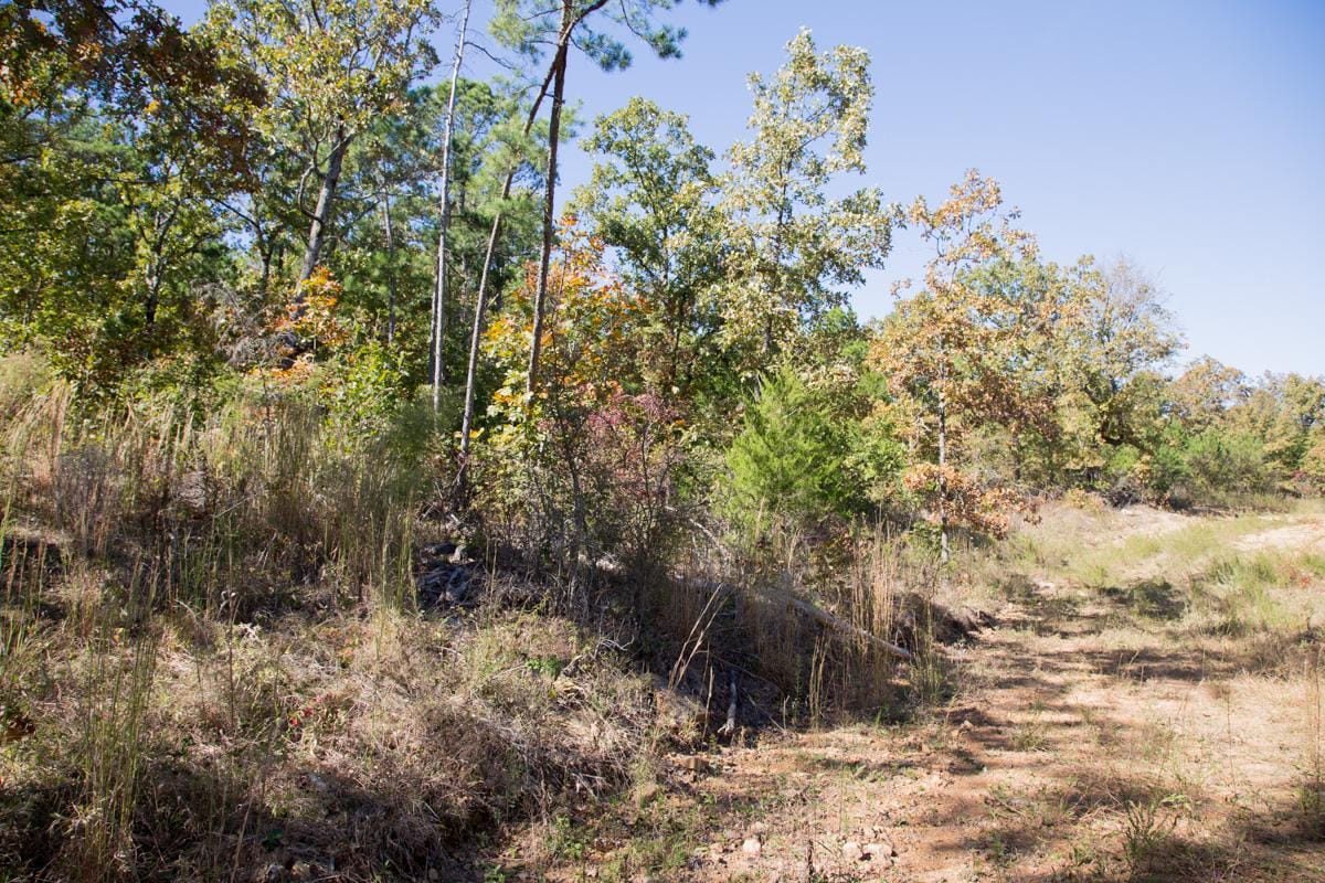Stone Creek Phase I Tract 148 photo 10