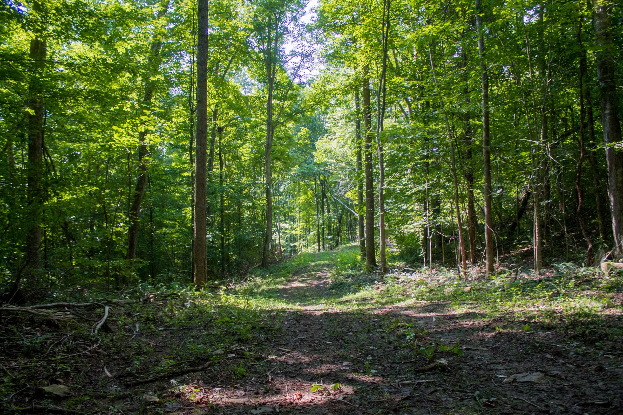 Bluewater Ridge Tract 16 photo 13