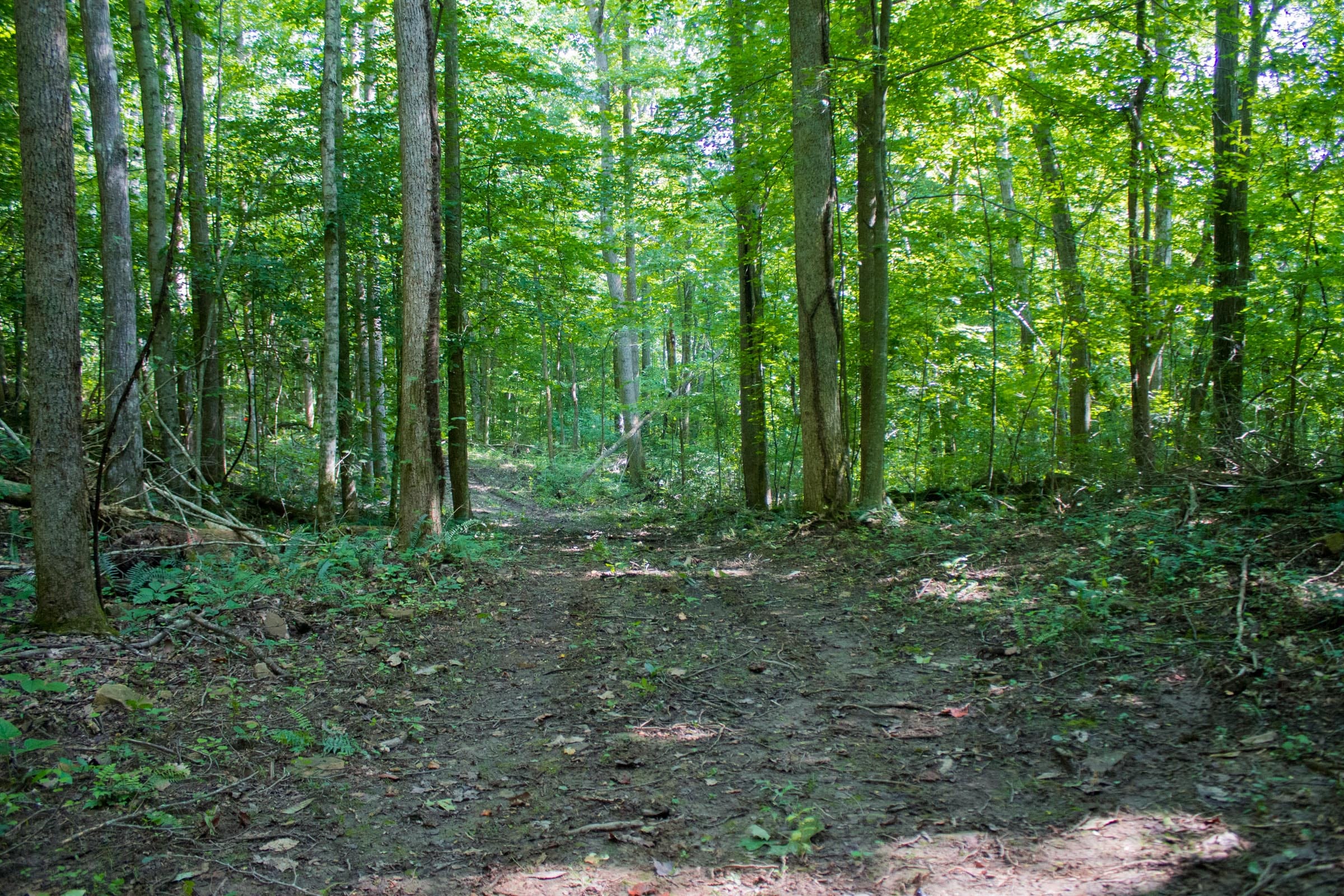 Bluewater Ridge Tract 16 photo 1