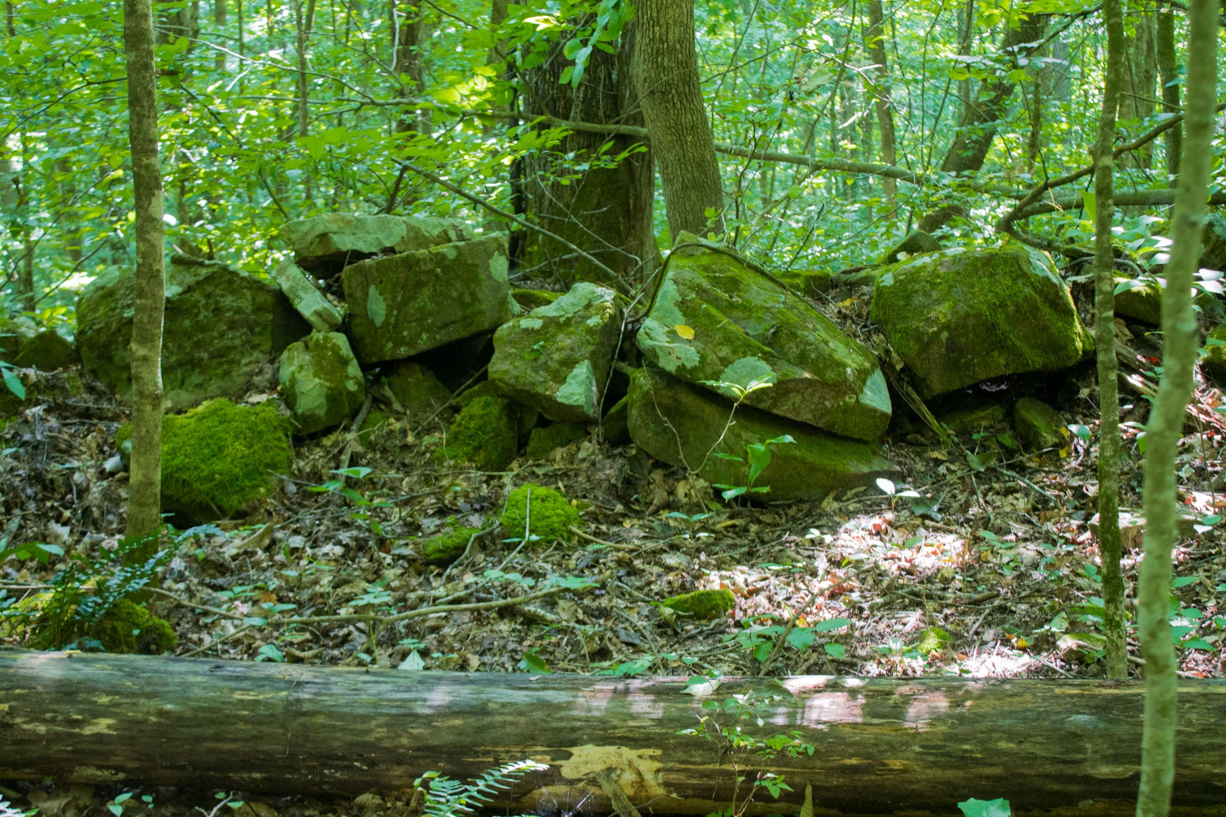 Bluewater Ridge Tract 16 photo 14