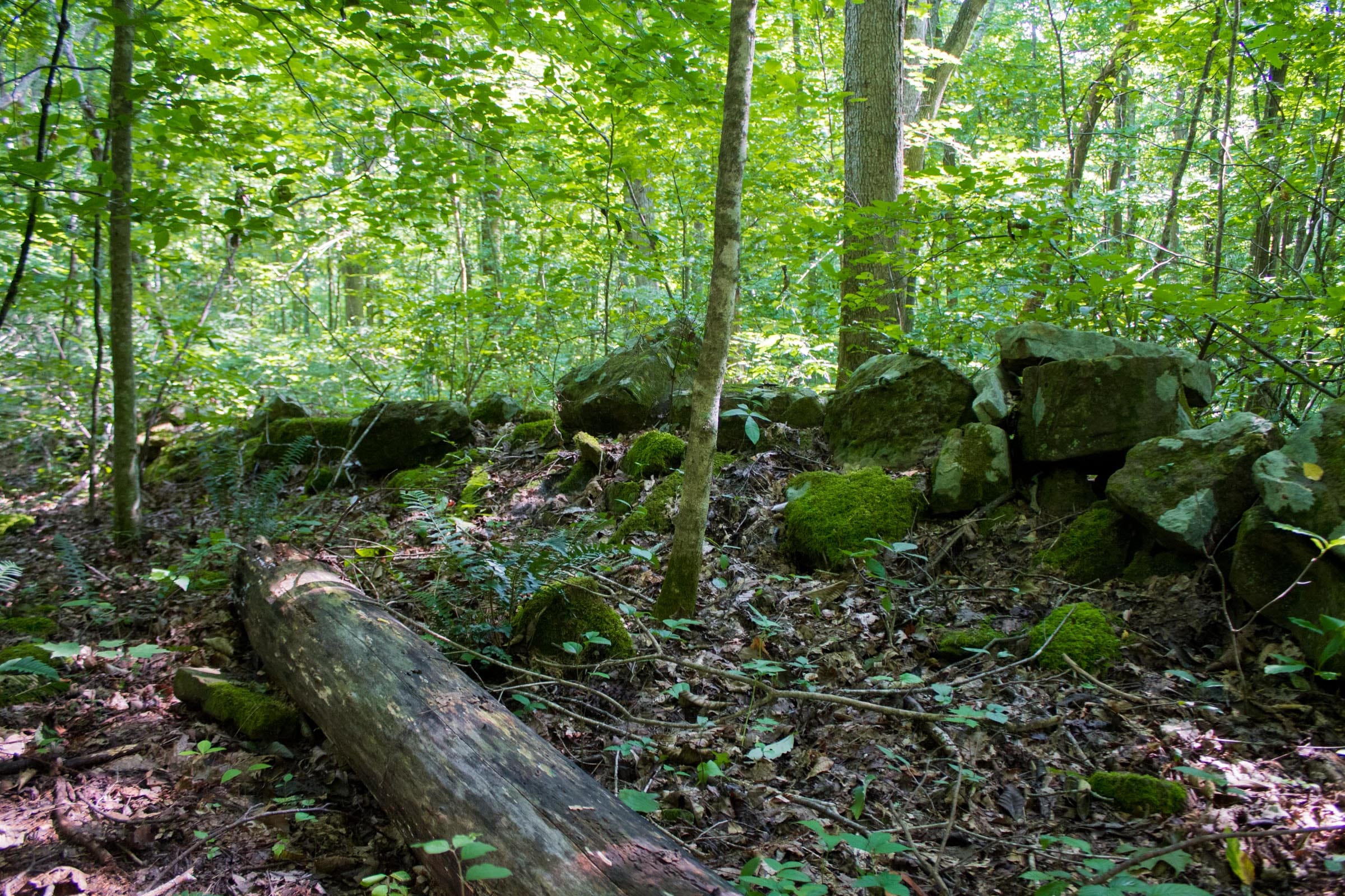 Bluewater Ridge Tract 16 photo 15