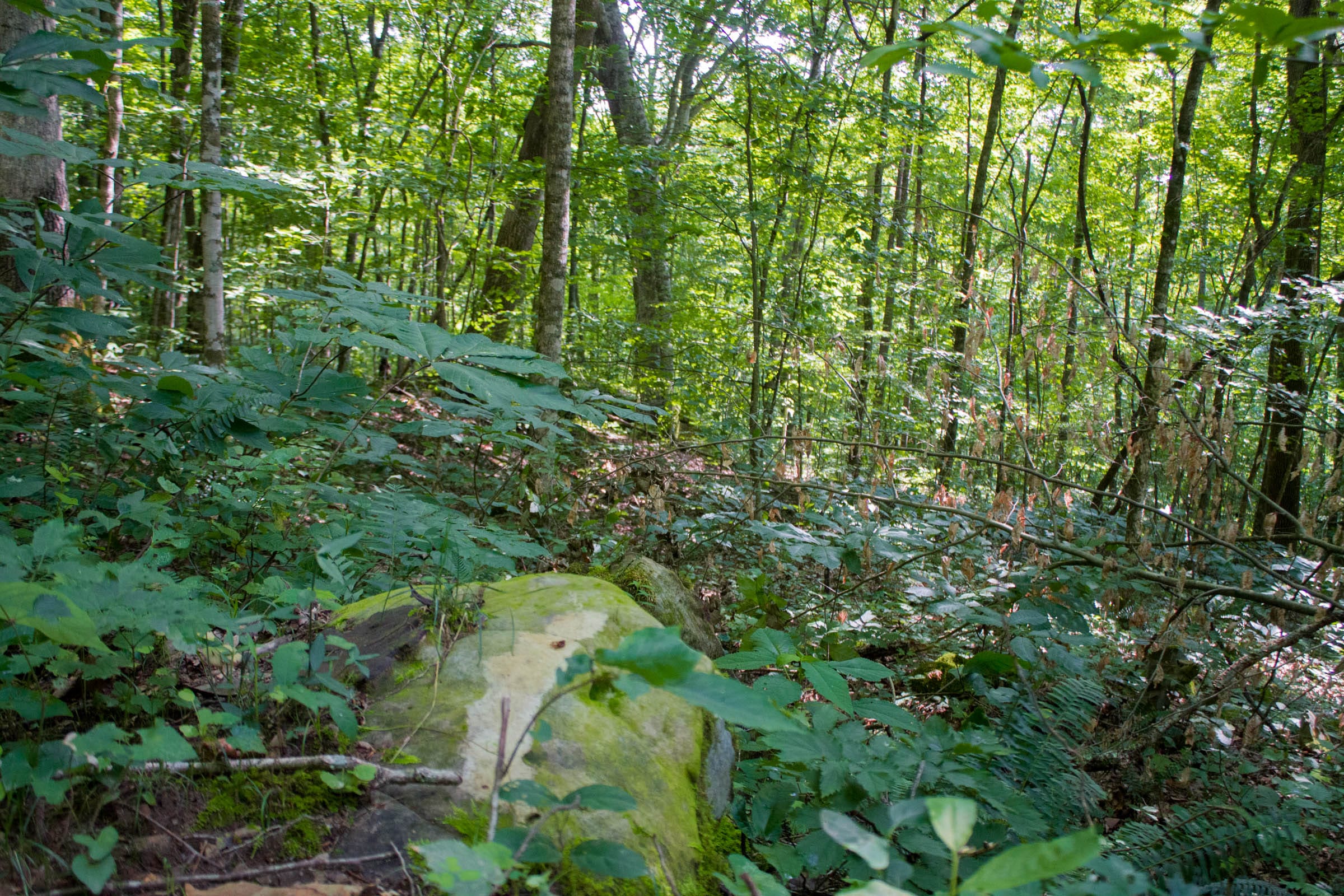 Bluewater Ridge Tract 16 photo 16