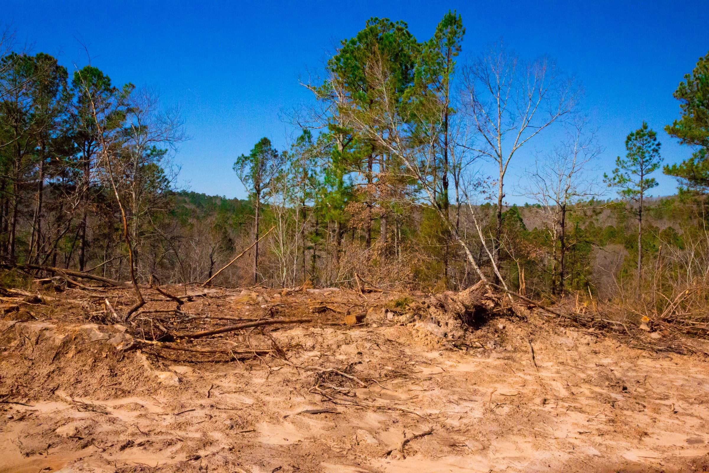 Stone Creek Phase II Tract 200 photo 7