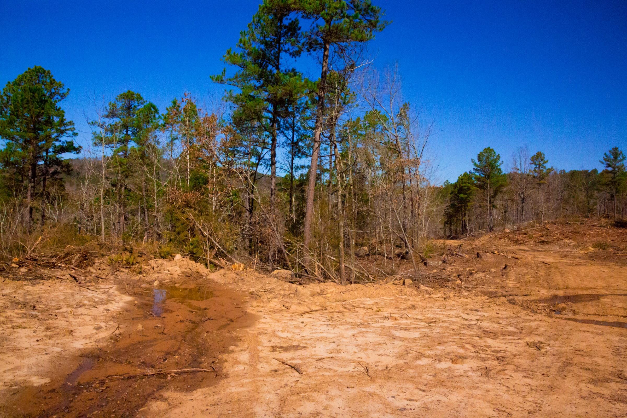 Stone Creek Phase II Tract 200 photo 8