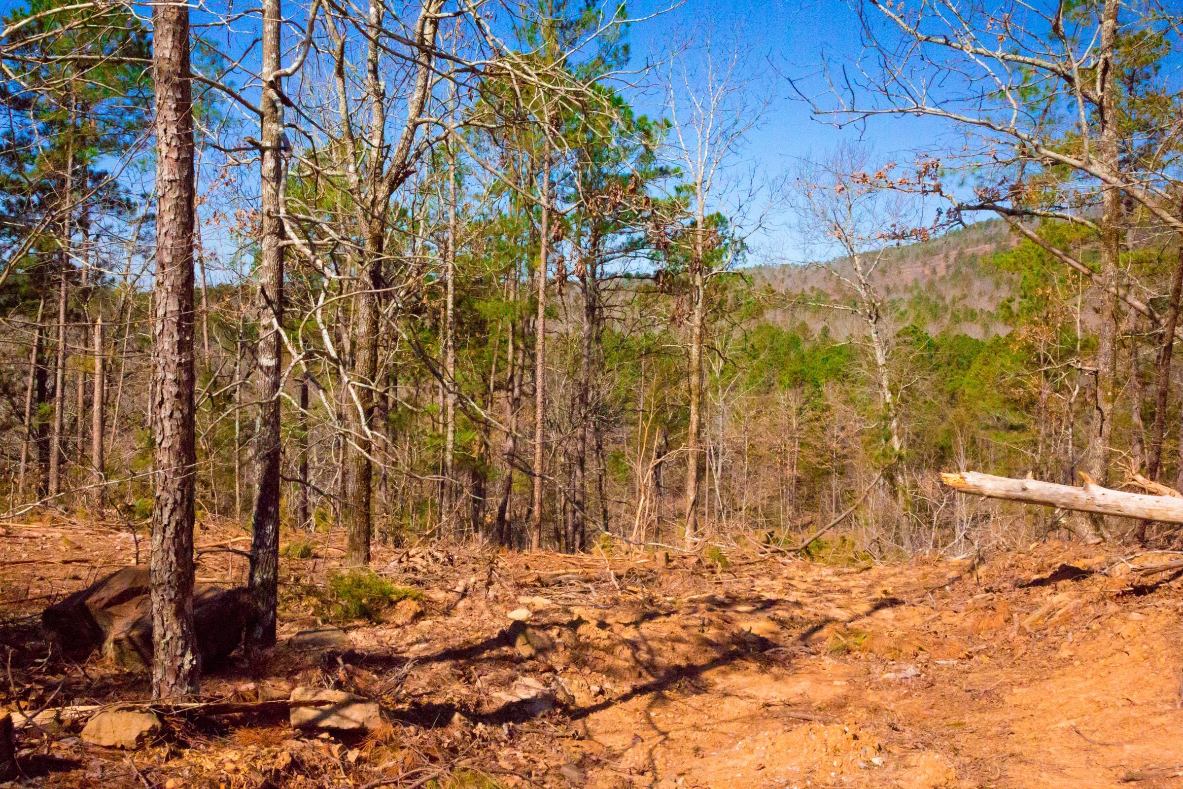 Stone Creek Phase II Tract 200 photo 9
