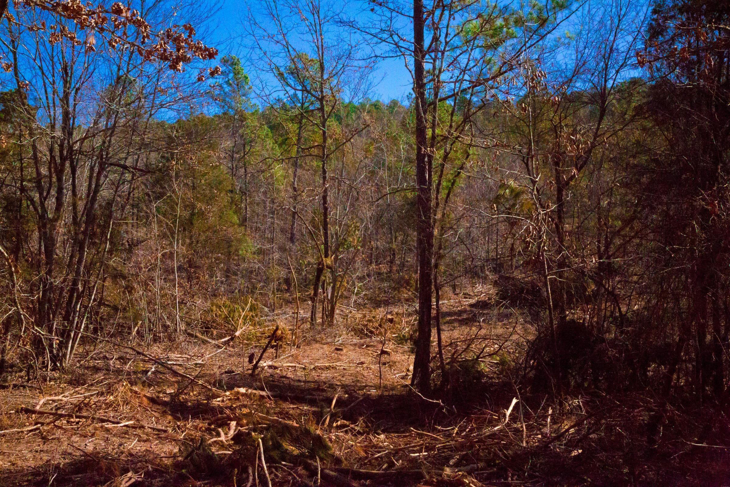 Stone Creek Phase II Tract 200 photo 12