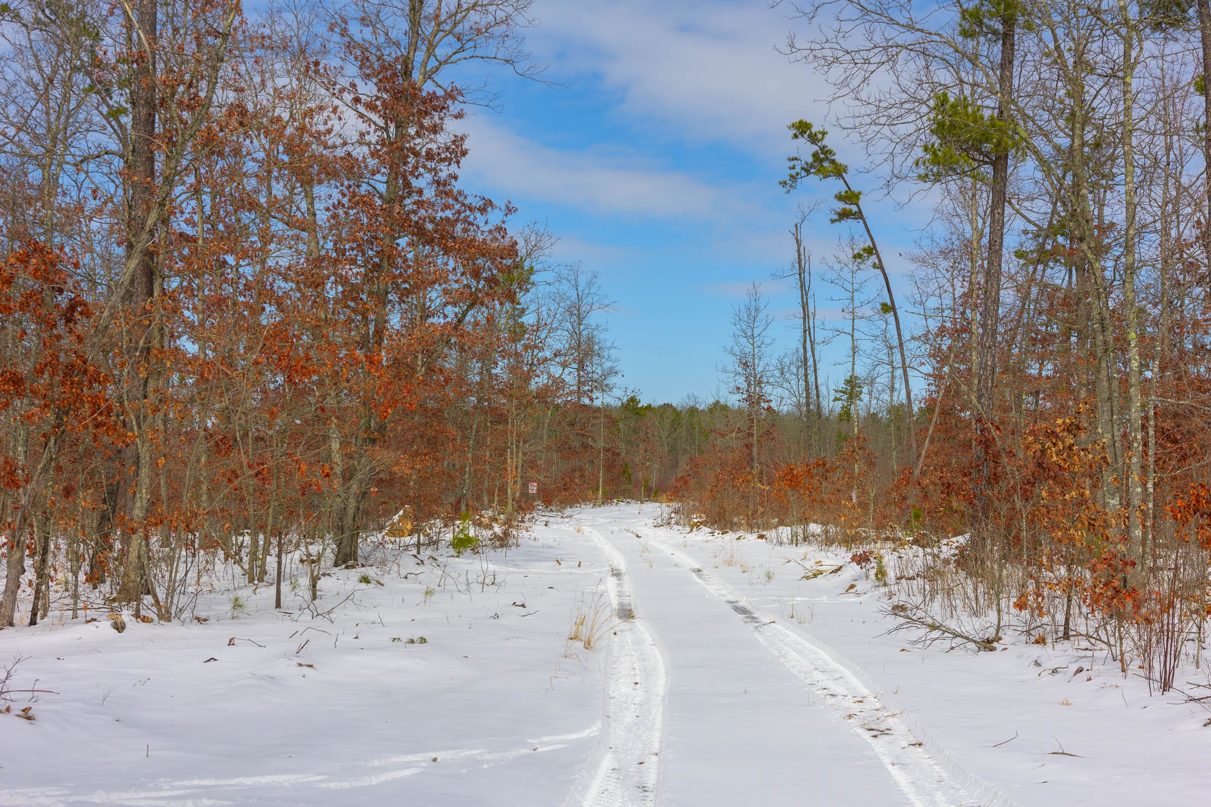 Sleepy Hollow Phase I Tract 6 photo 8