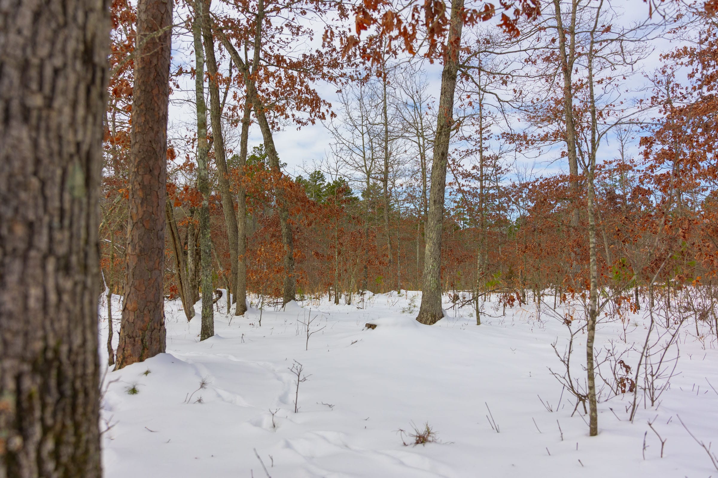 Sleepy Hollow Phase I Tract 6 photo 7