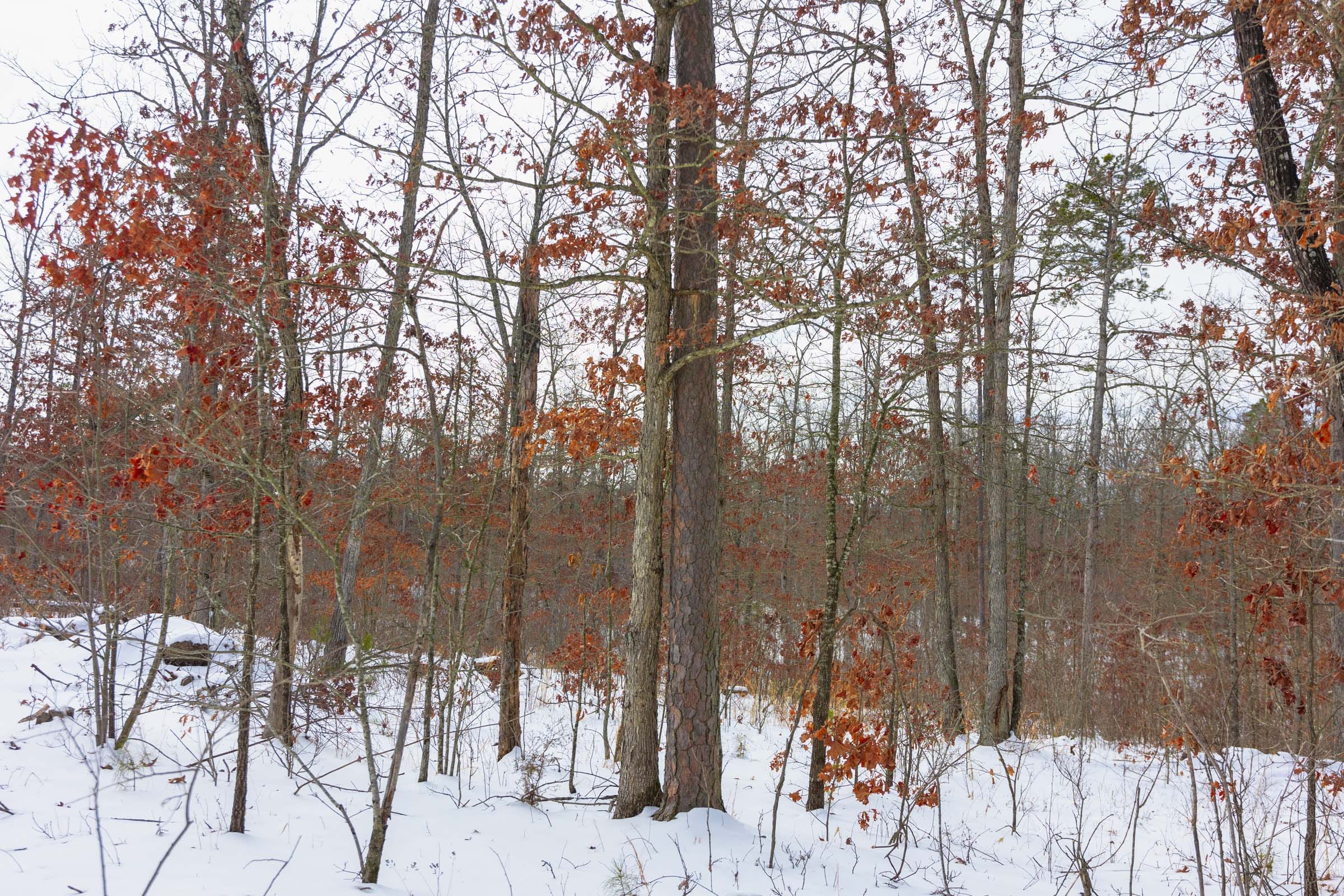 Sleepy Hollow Phase I Tract 6 photo 6