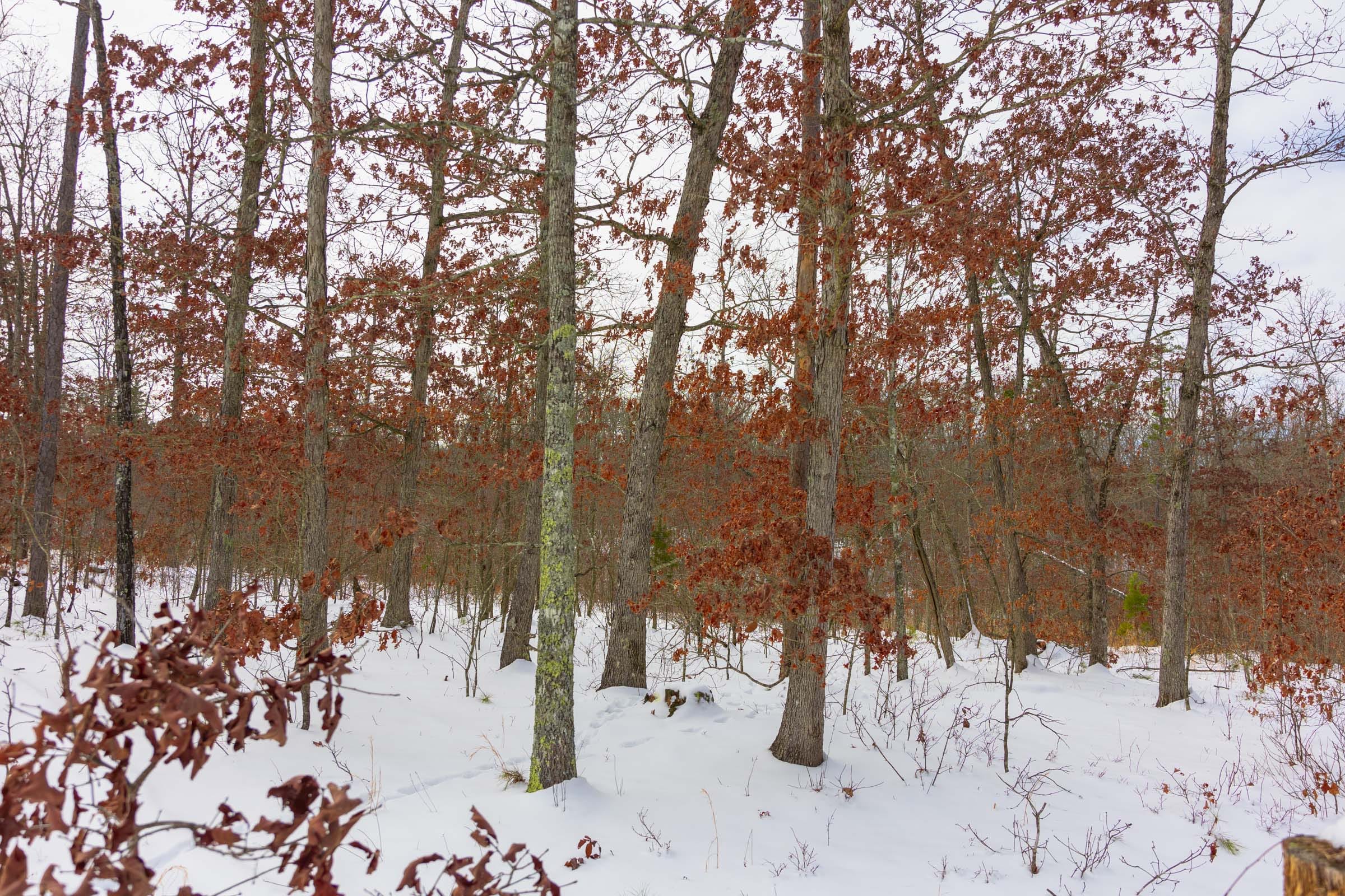 Sleepy Hollow Phase I Tract 6 photo 1