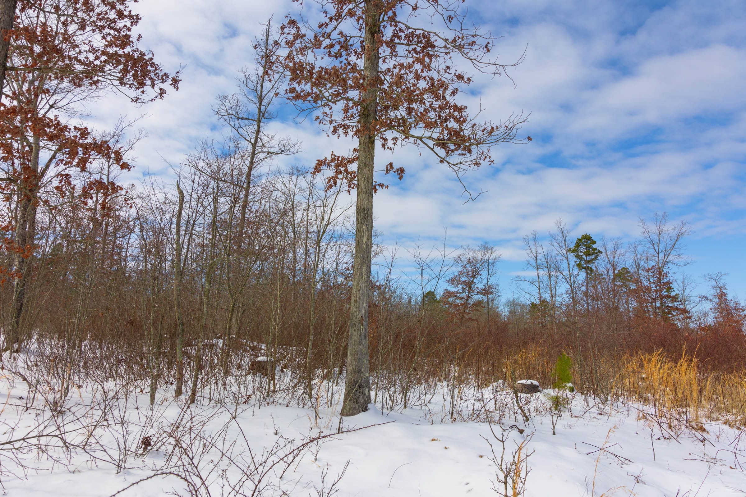 Sleepy Hollow Phase I Tract 6 photo 4
