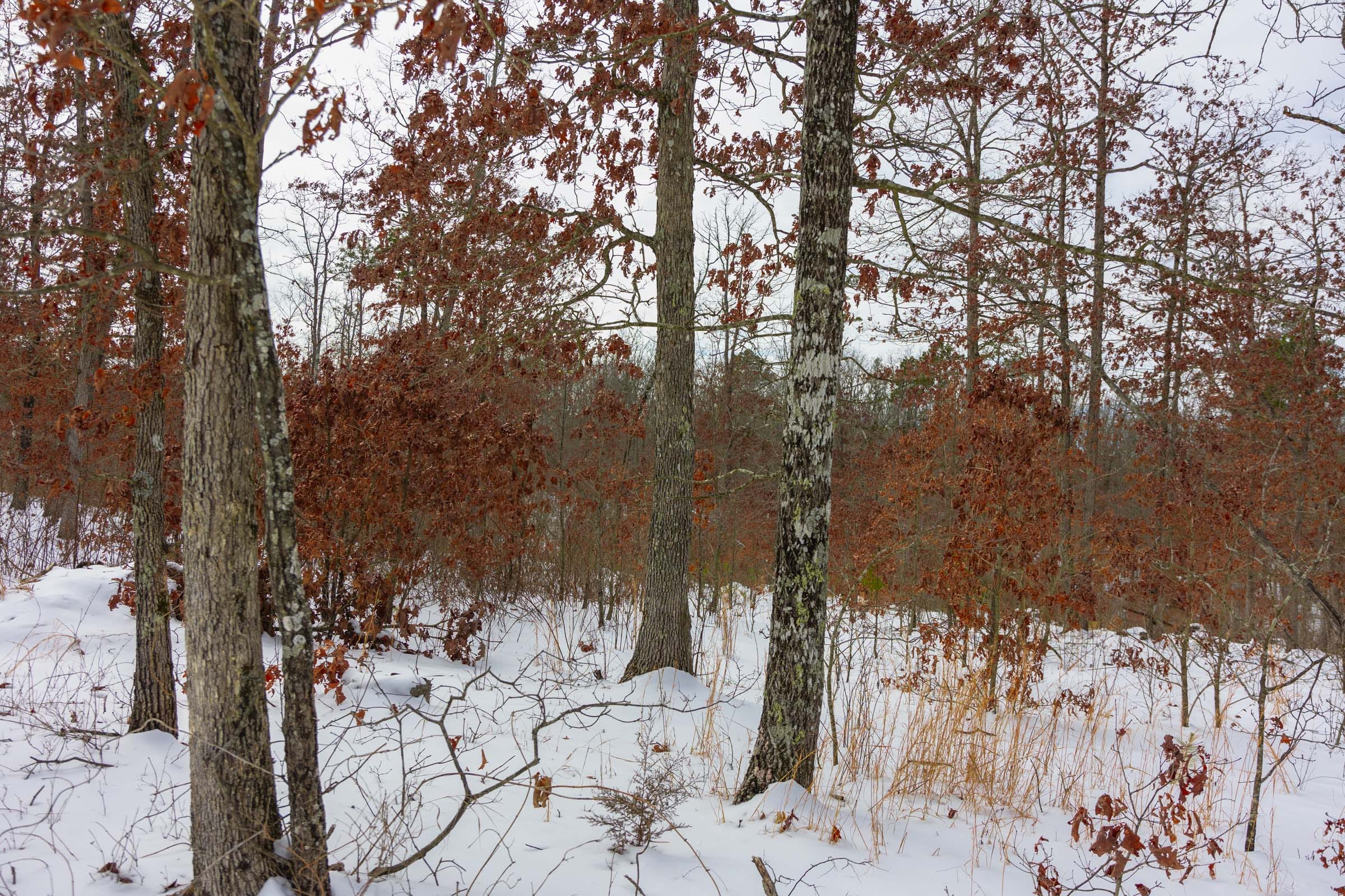 Sleepy Hollow Phase I Tract 6 photo 3