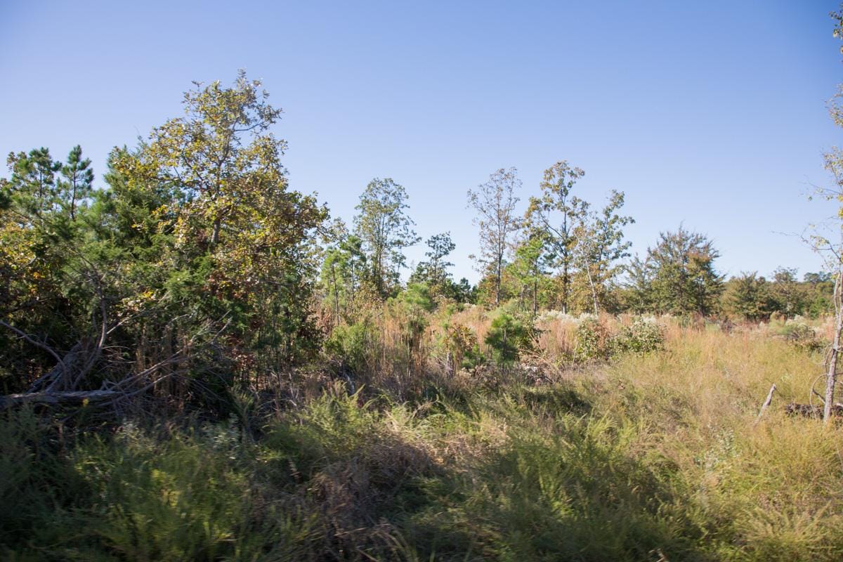 Stone Creek Phase I Tract 174 photo 3