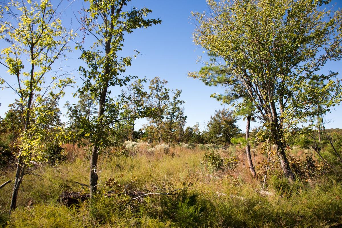 Stone Creek Phase I Tract 174 photo 4