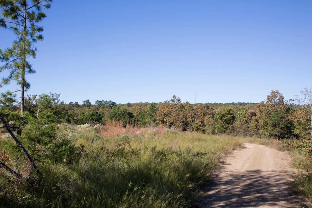 Stone Creek Phase I Tract 174 photo 5