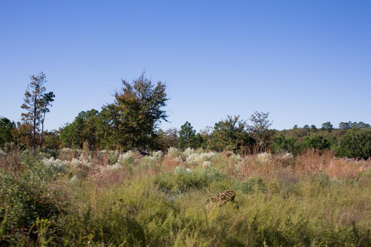Stone Creek Phase I Tract 174 photo 6