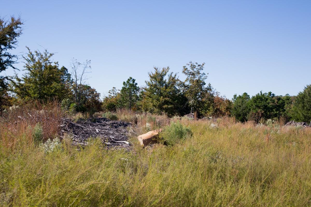 Stone Creek Phase I Tract 174 photo 7