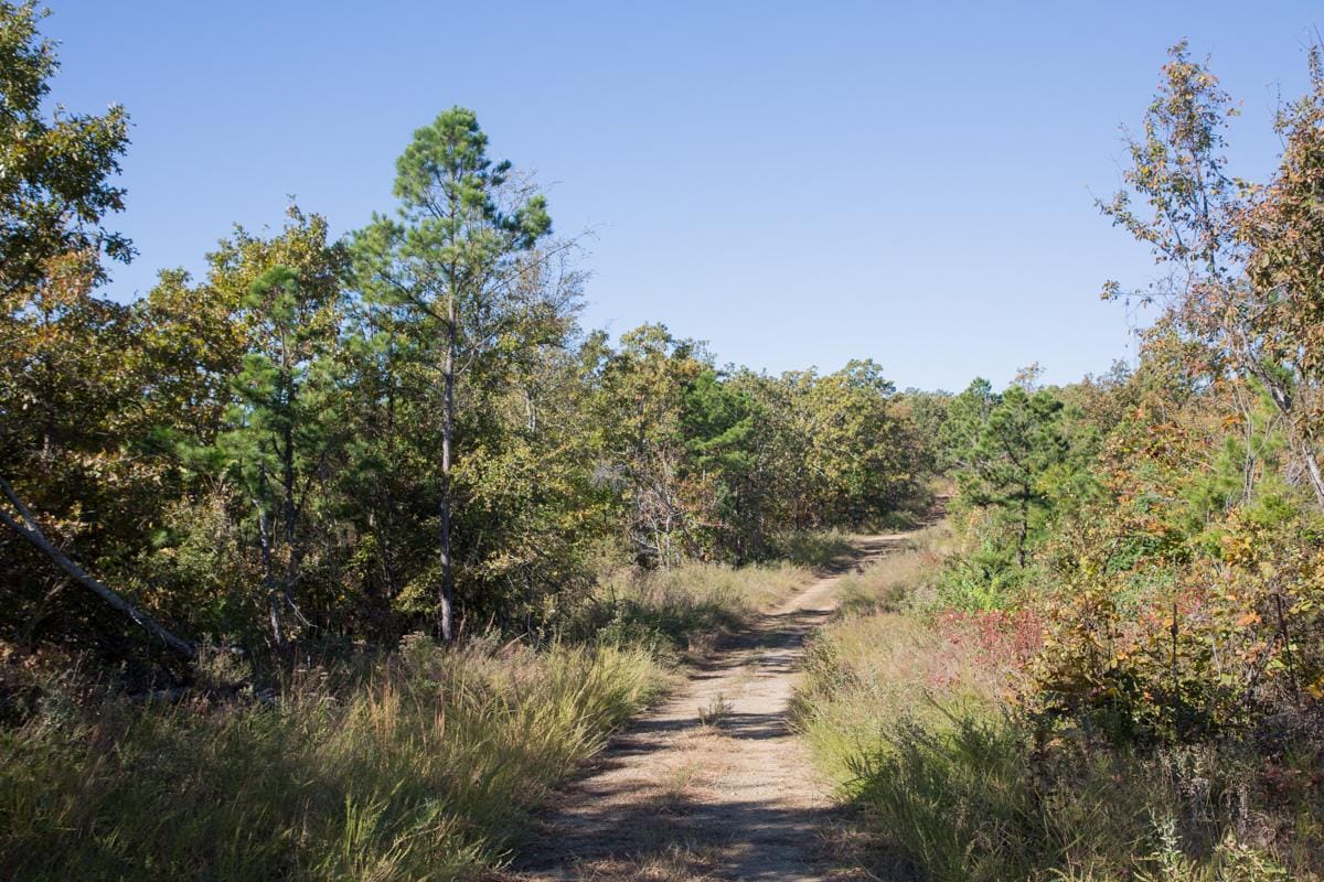 Stone Creek Phase I Tract 174 photo 8